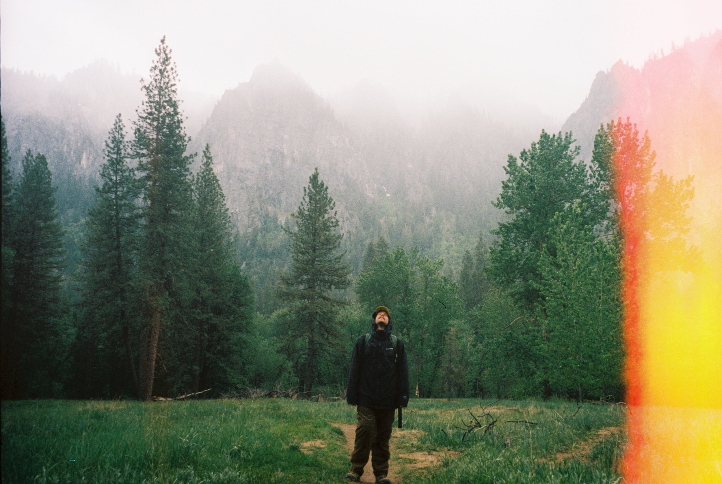 One Hundred Birds to Watch (2021)
Yosemite National Park, CA