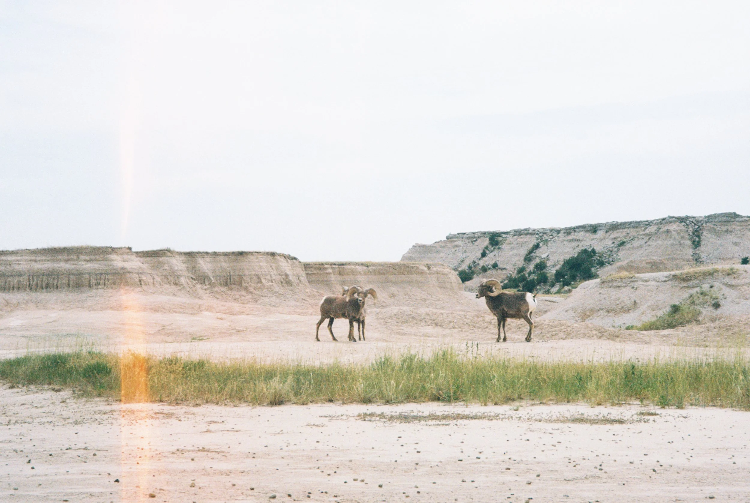 Spectacle (2021)
Badlands National Park, SD