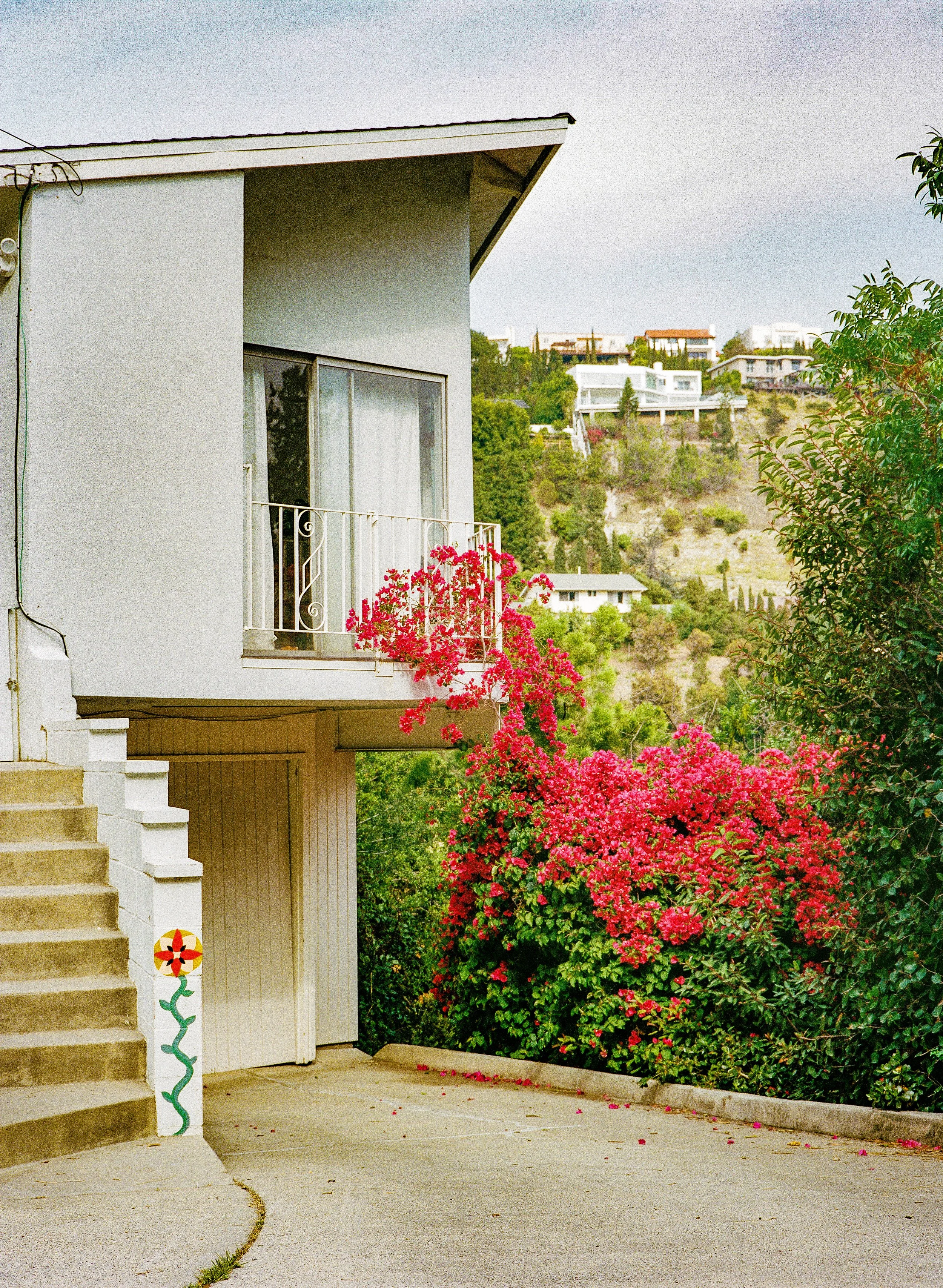 image0 (31).jpeg