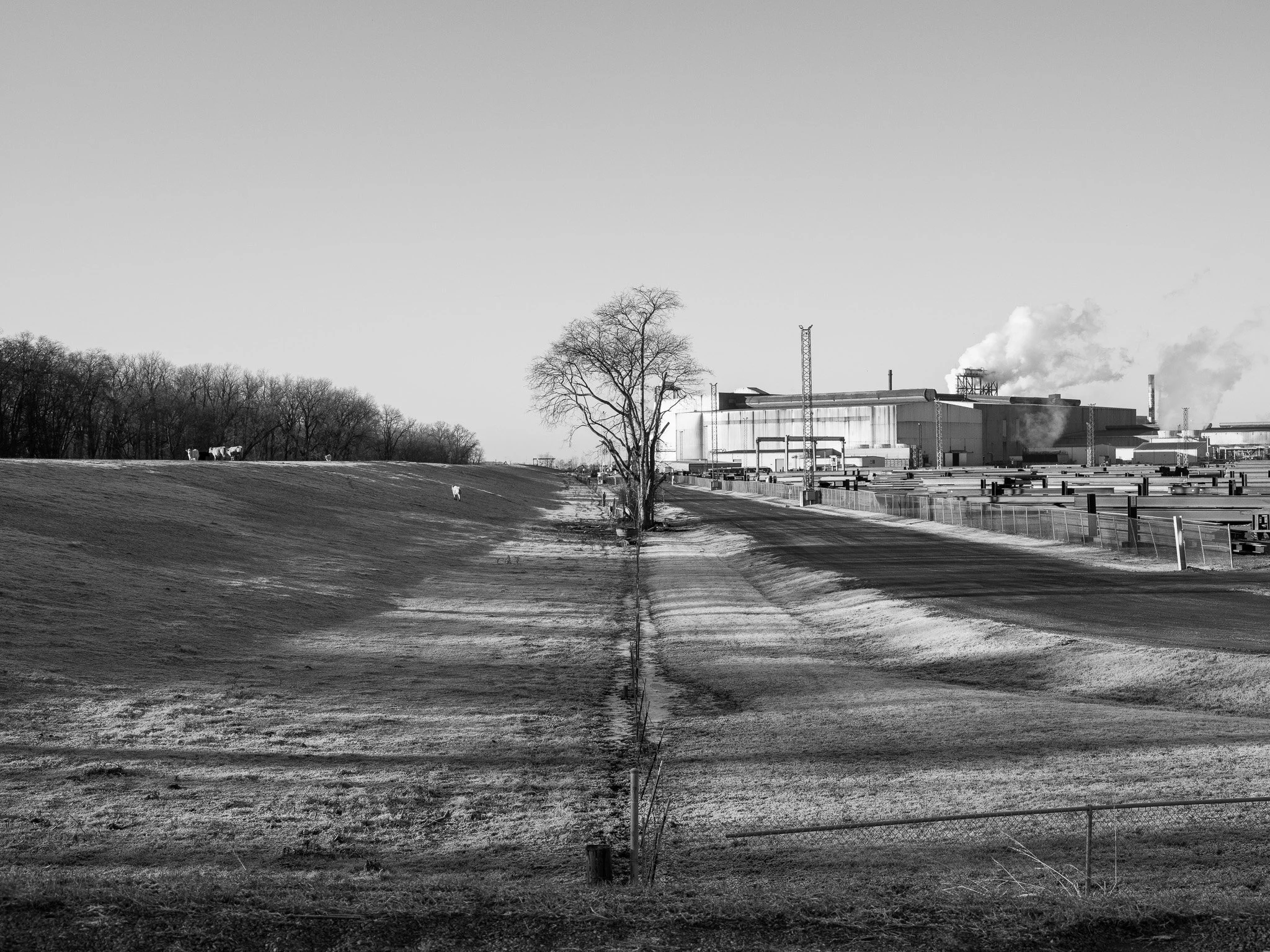 DSCF1919.jpg