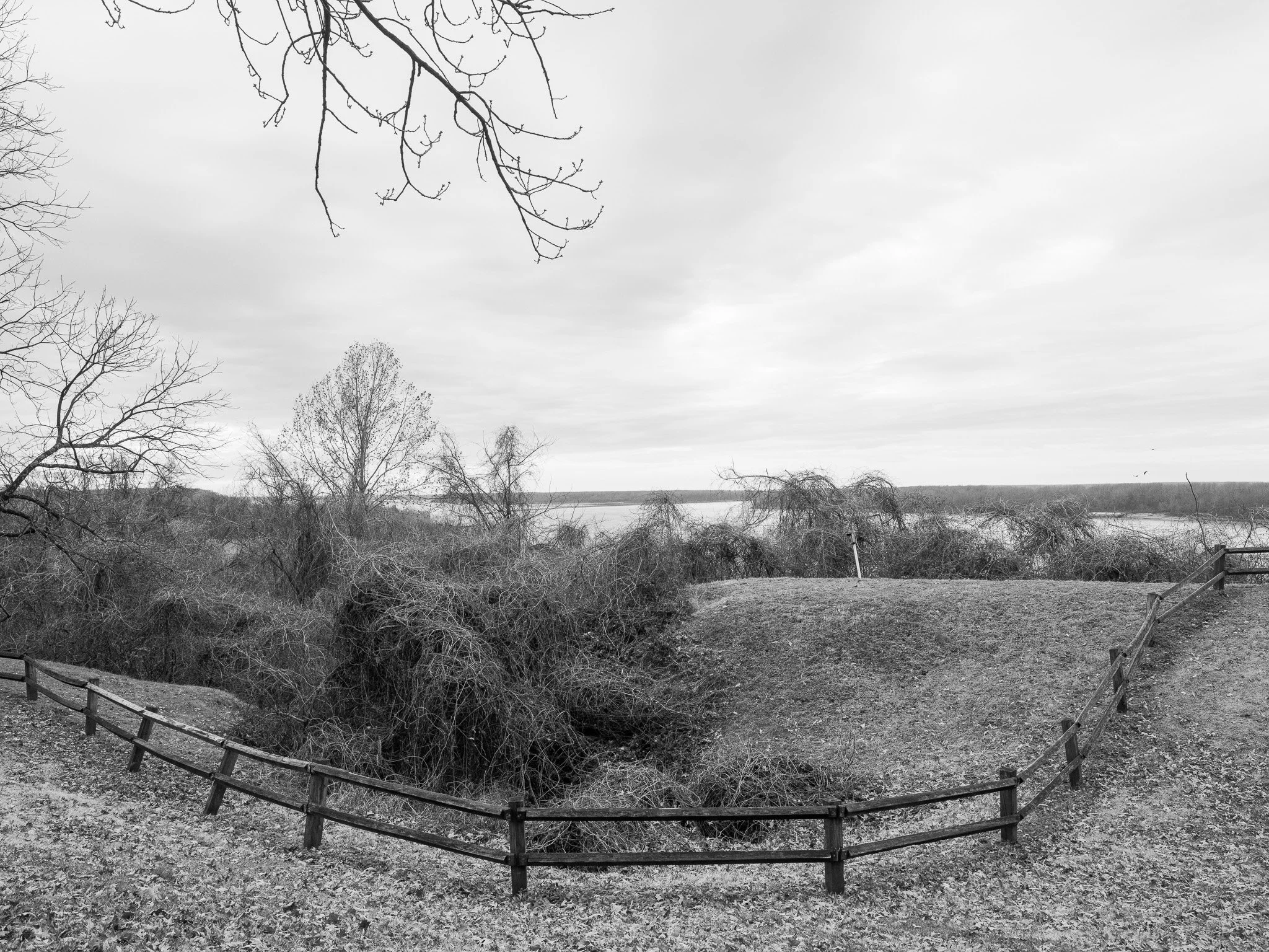 DSCF2116.jpg