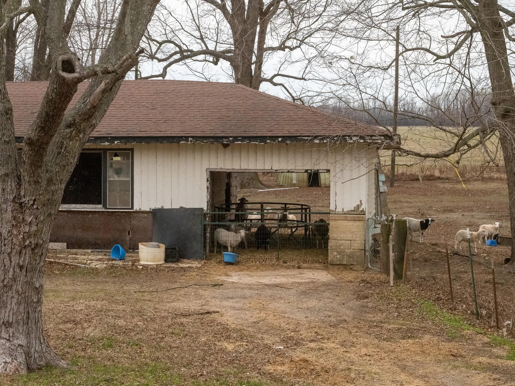 DSCF6370.jpg