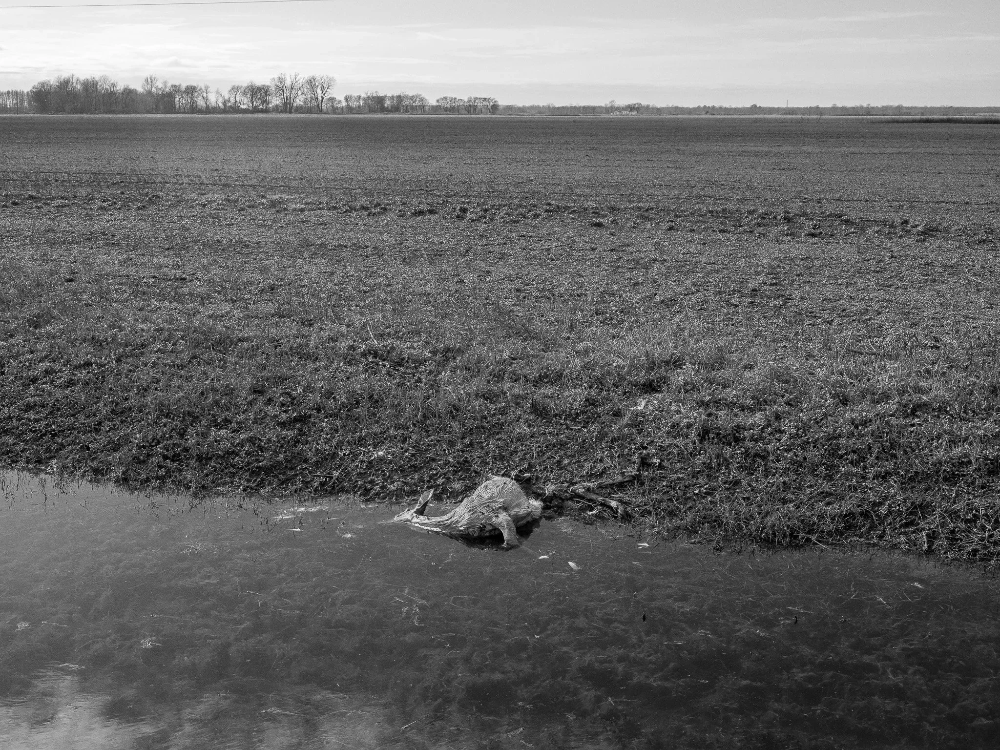 Hickman County, Kentucky