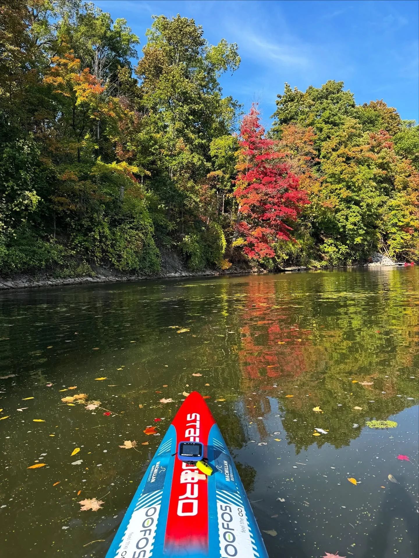 Fall is such a beautiful time of year here in Canada 🇨🇦 

@pdlmnstr
@starboardsupnorthamerica
@starboardsup
@oofoscanada
@pison

#macmillanelitemindset
#mentalperformance 
#mentalstrength
#trusttheprocess
#growthmindset
#successmindset
#healthymind