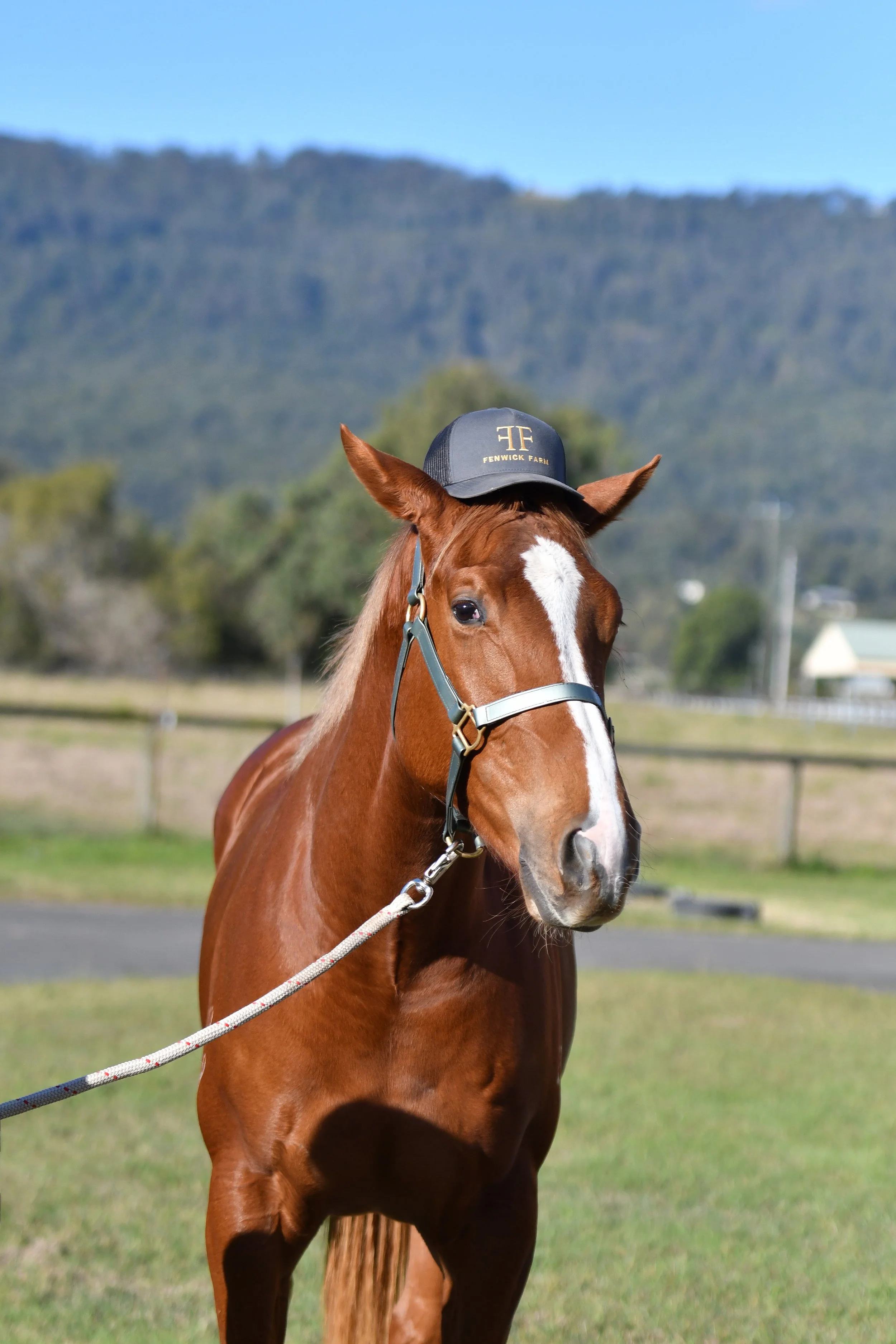 BTP_5799 - HankyPanky.JPG