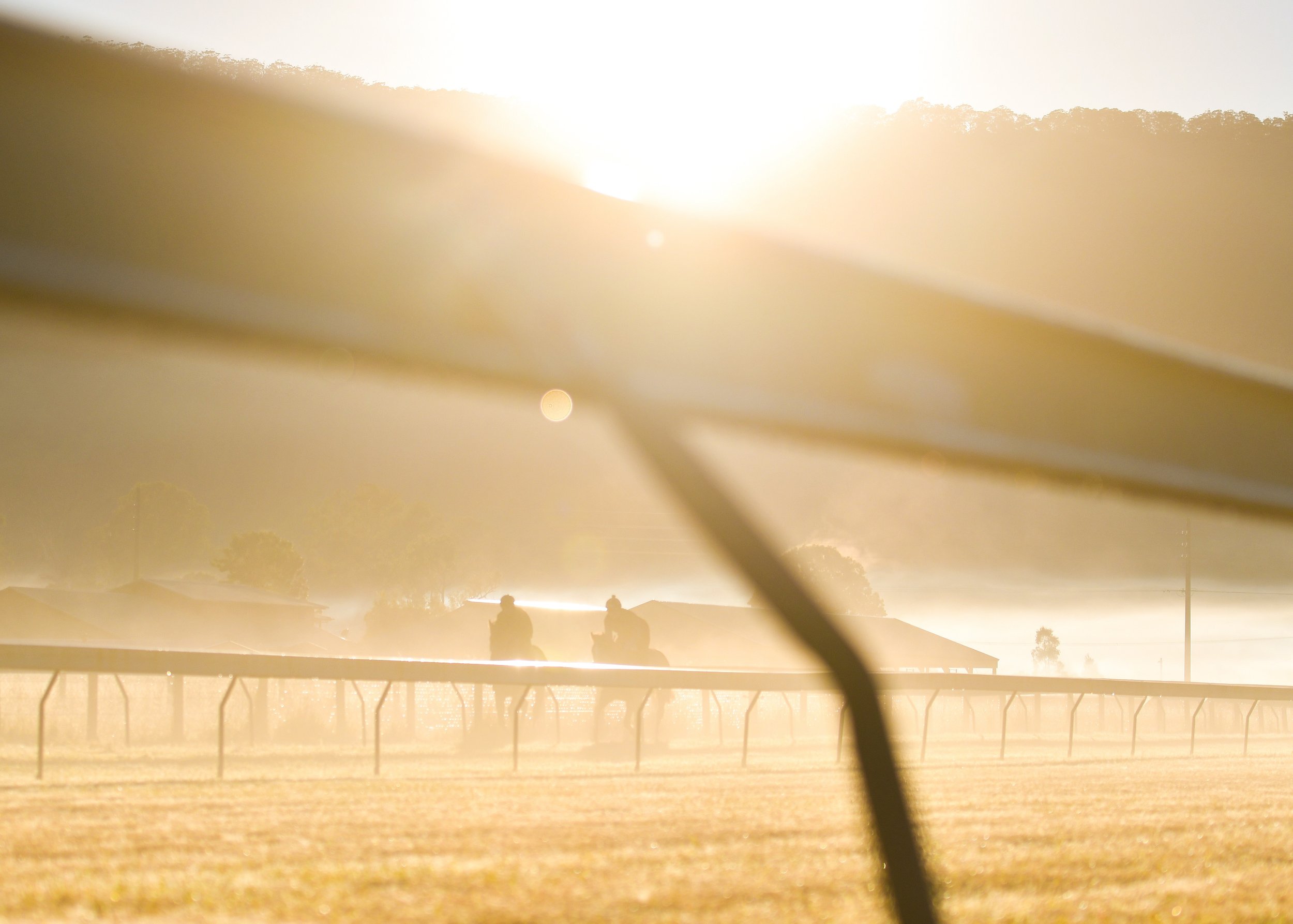 BTP_8304 - Horses.jpeg