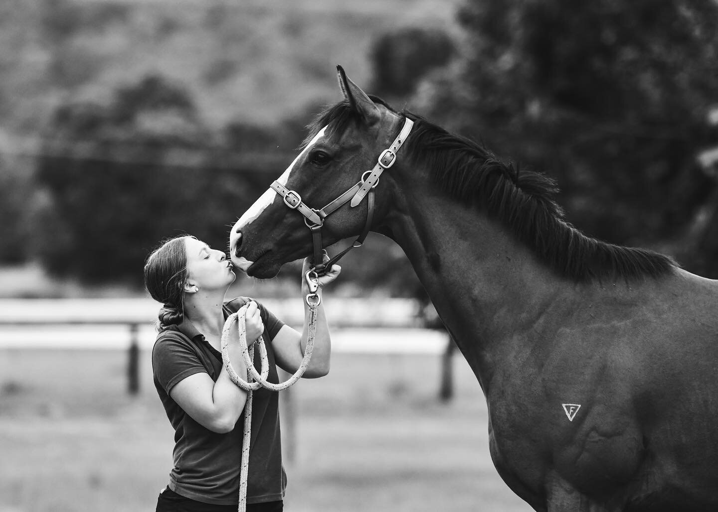 #LoveTheHorse week and we are celebrating the beautiful animals that we are so privileged to work with every single day.
This week and every week you should give your much loved horses all the extra kisses. 😘💋

📸: Ocean Ridge and Tiff @tjgollanrac