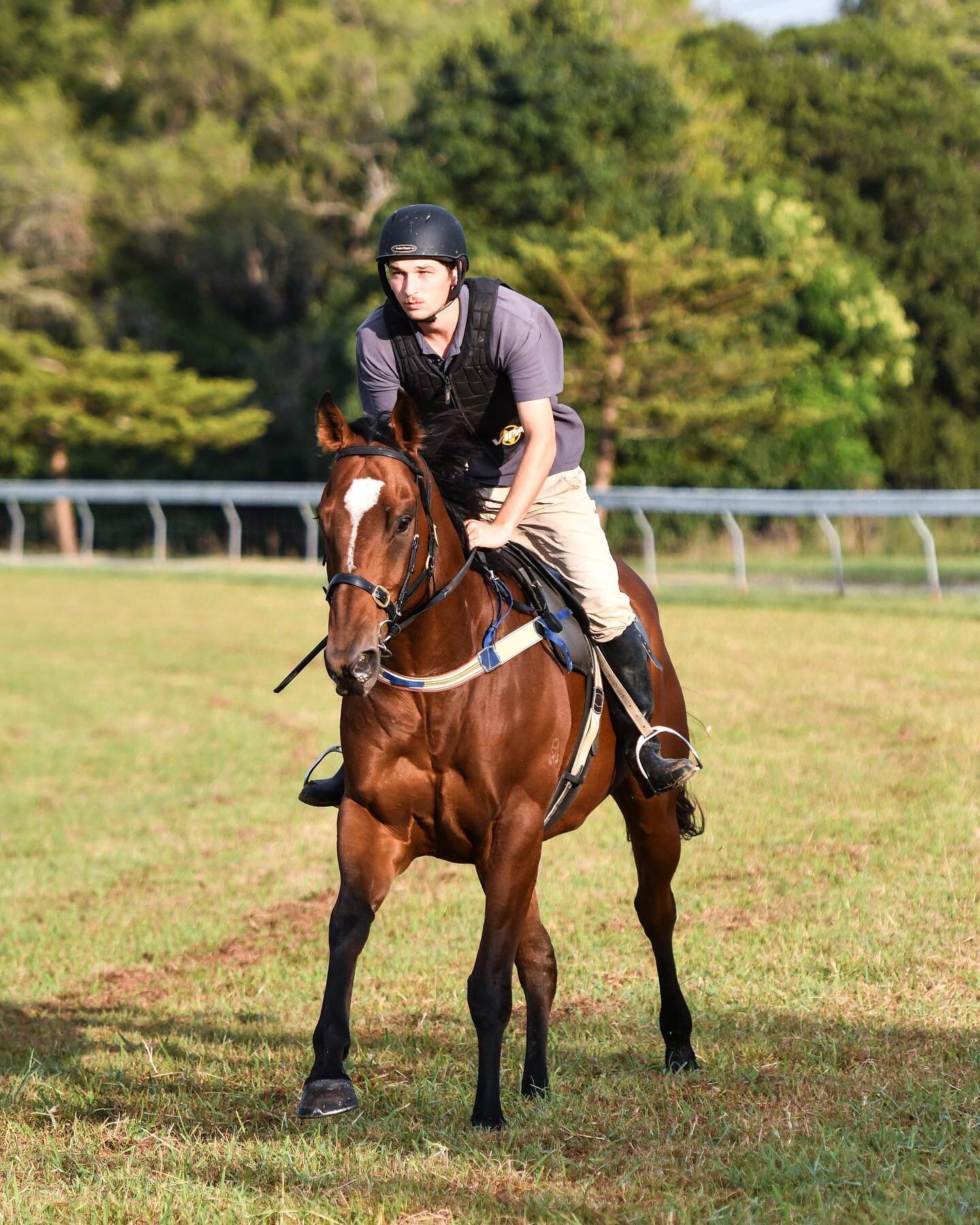 A special congratulations to a great bunch of owners involved in Proper Rogue, who won at his second start for new trainer Tony Gollan @tjgollanracing!! 🤯🤩

His win at Doomben on Saturday was the first city win in 25 years for the colours owned by 