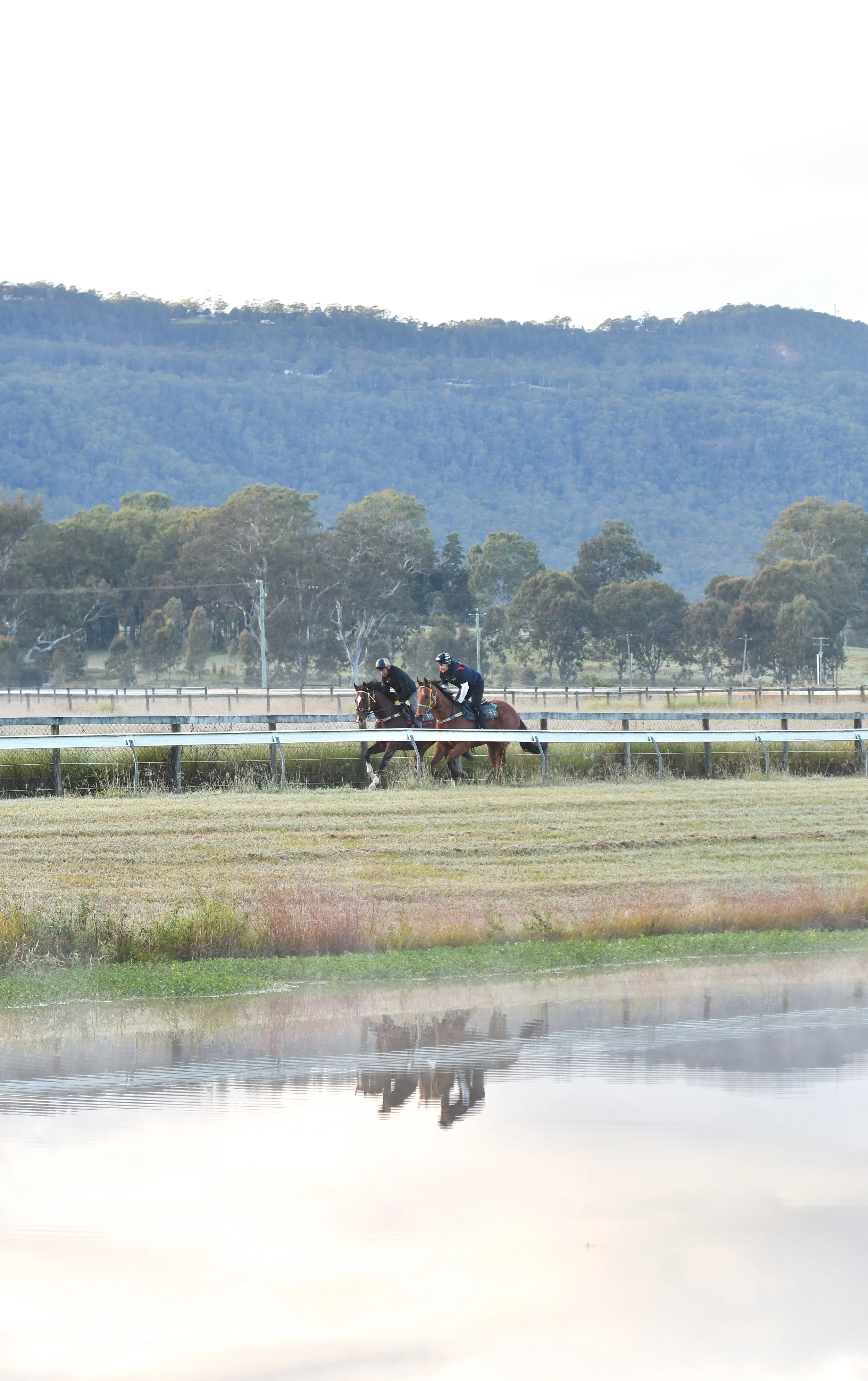 BTP_5237 - Track.jpg