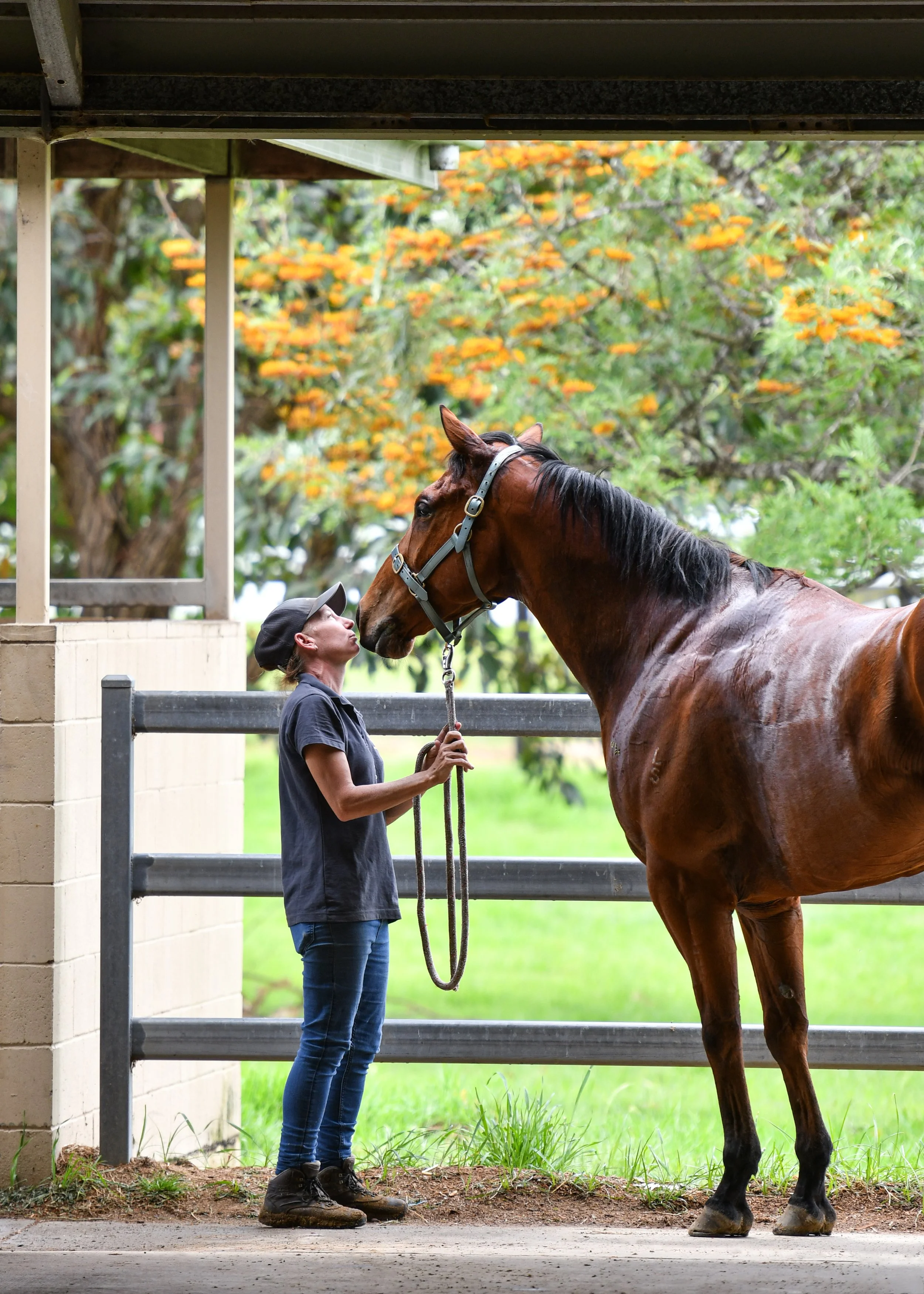 BTP_3273 - TheBlueMax.jpg