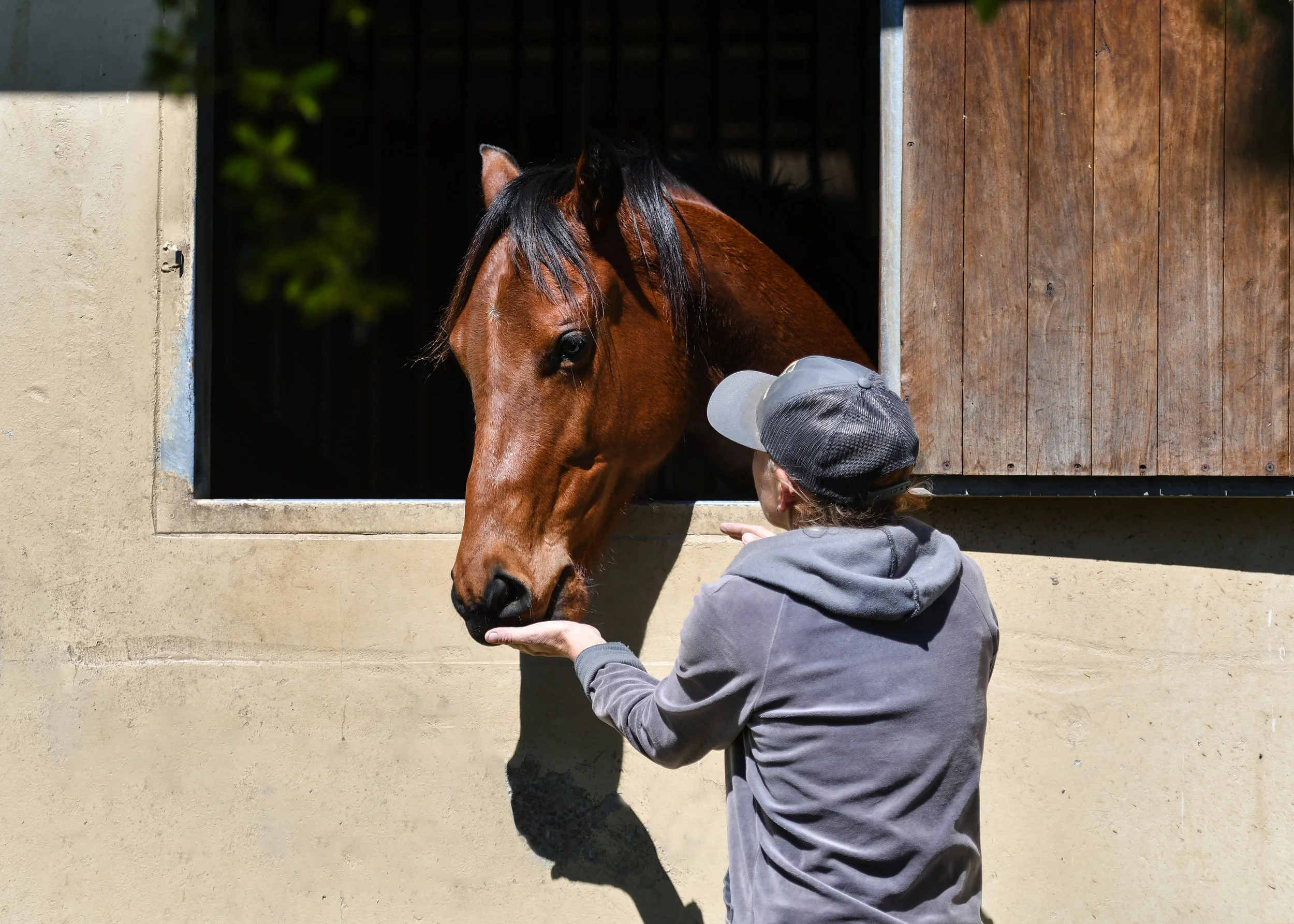 BTP_1909 - Vanessa.JPG