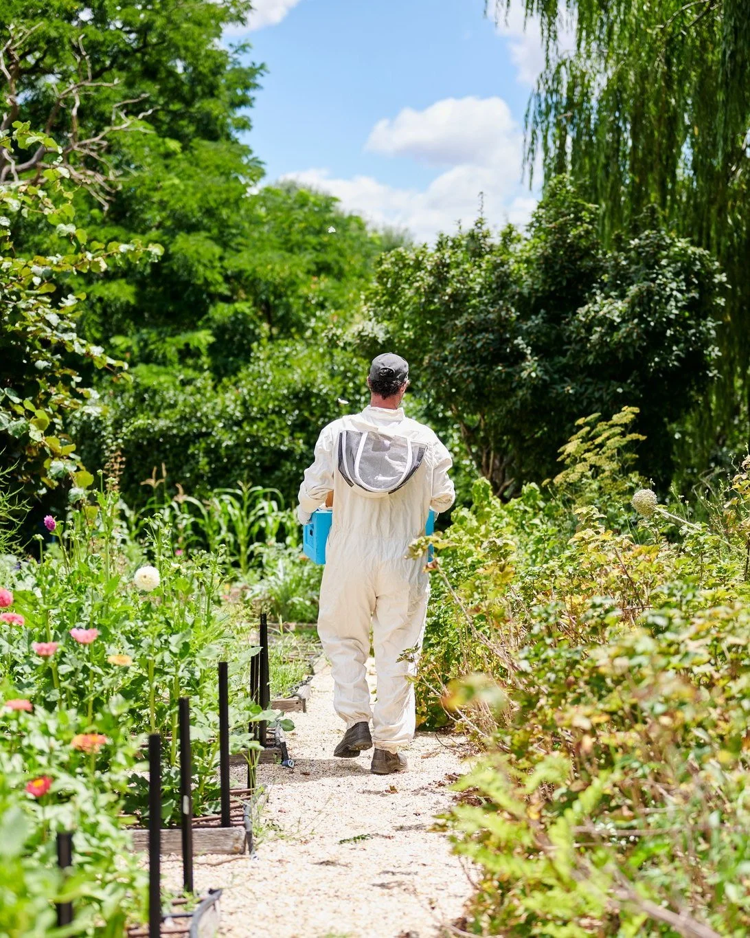 Hidden behind our flower gardens are our hardest-working residents - our Grazing bees 🐝
When the season is right, we harvest the honey, which you'll find featured throughout our menu. For now, they're helping our garden to blossom. 
#grazinggundar