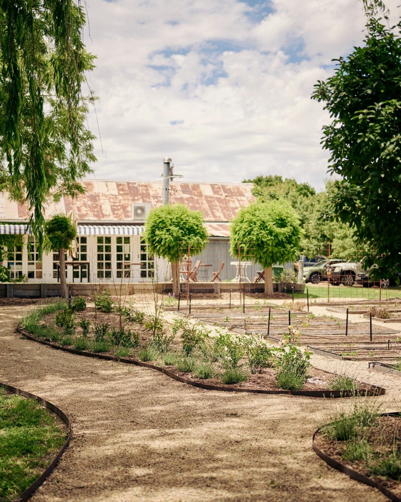 We're excited to see these garden beds flourish with dahlias next month 🌺 It's one of our favourite times of the year and a spectacle to be seen. 

#grazinggundaroo #canberra #canberrawines #visityassvalley #visitcanberra