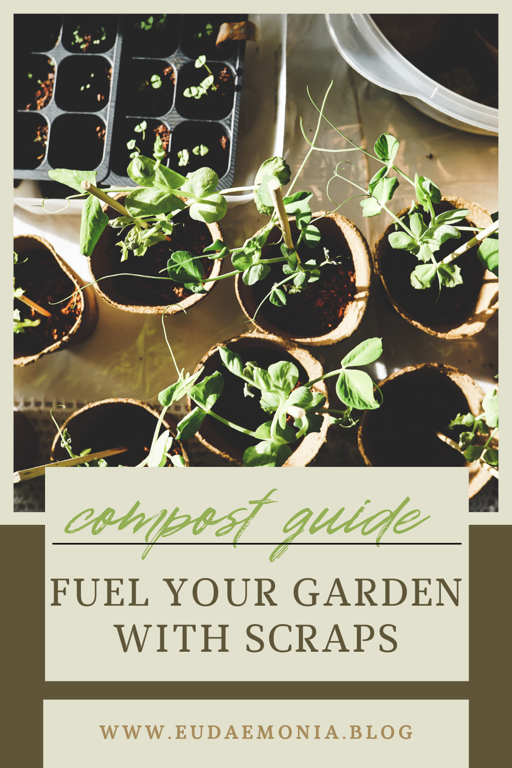 How to Start Composting at Home — Eudaemonia