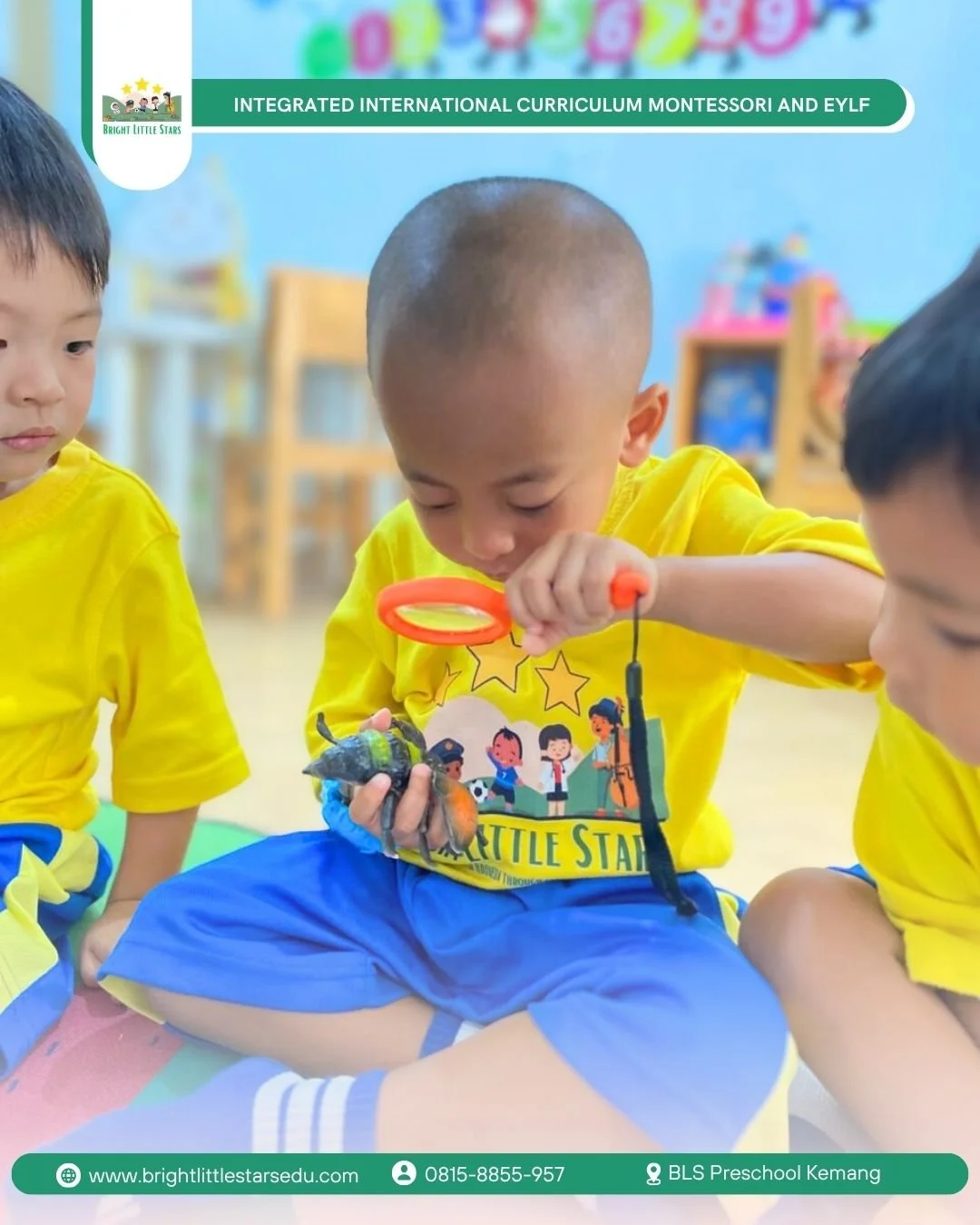 observing insects up close through hands-on exploration at bright little stars preschool and kindergarten kemang