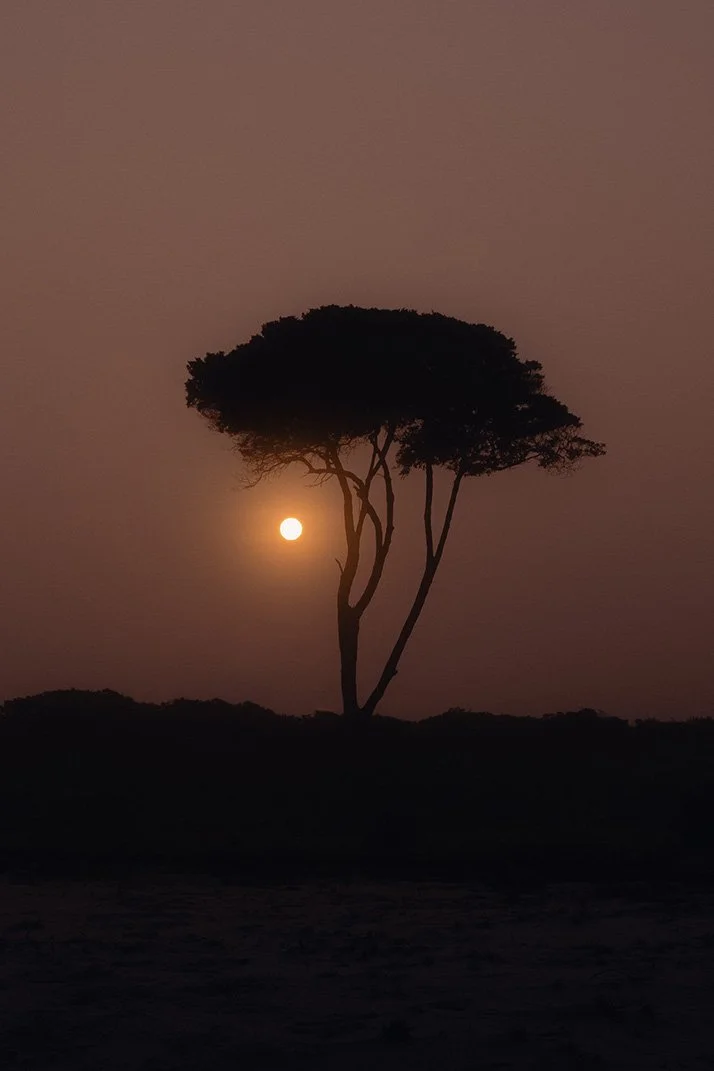 DSCF9322-Edit copy.jpg