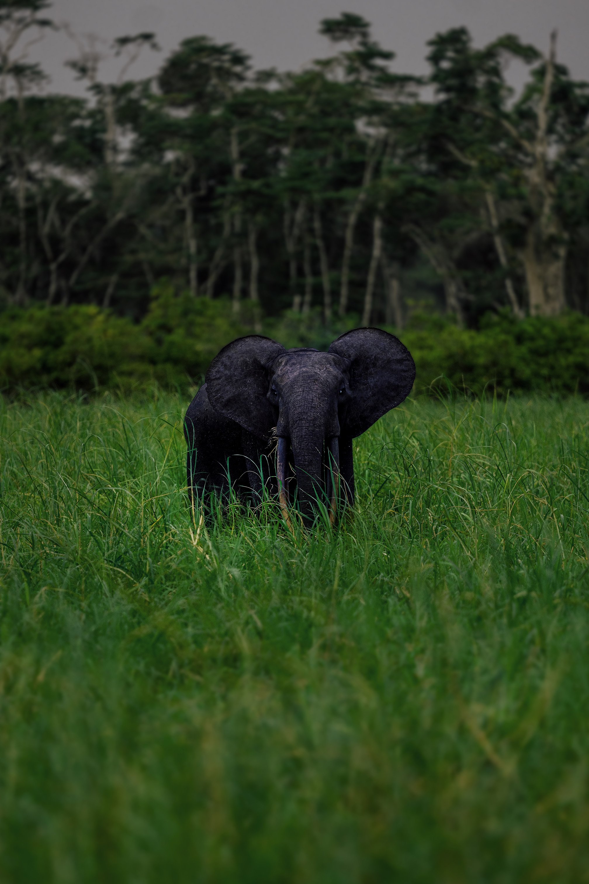 DSC03055-Edit copy.jpg