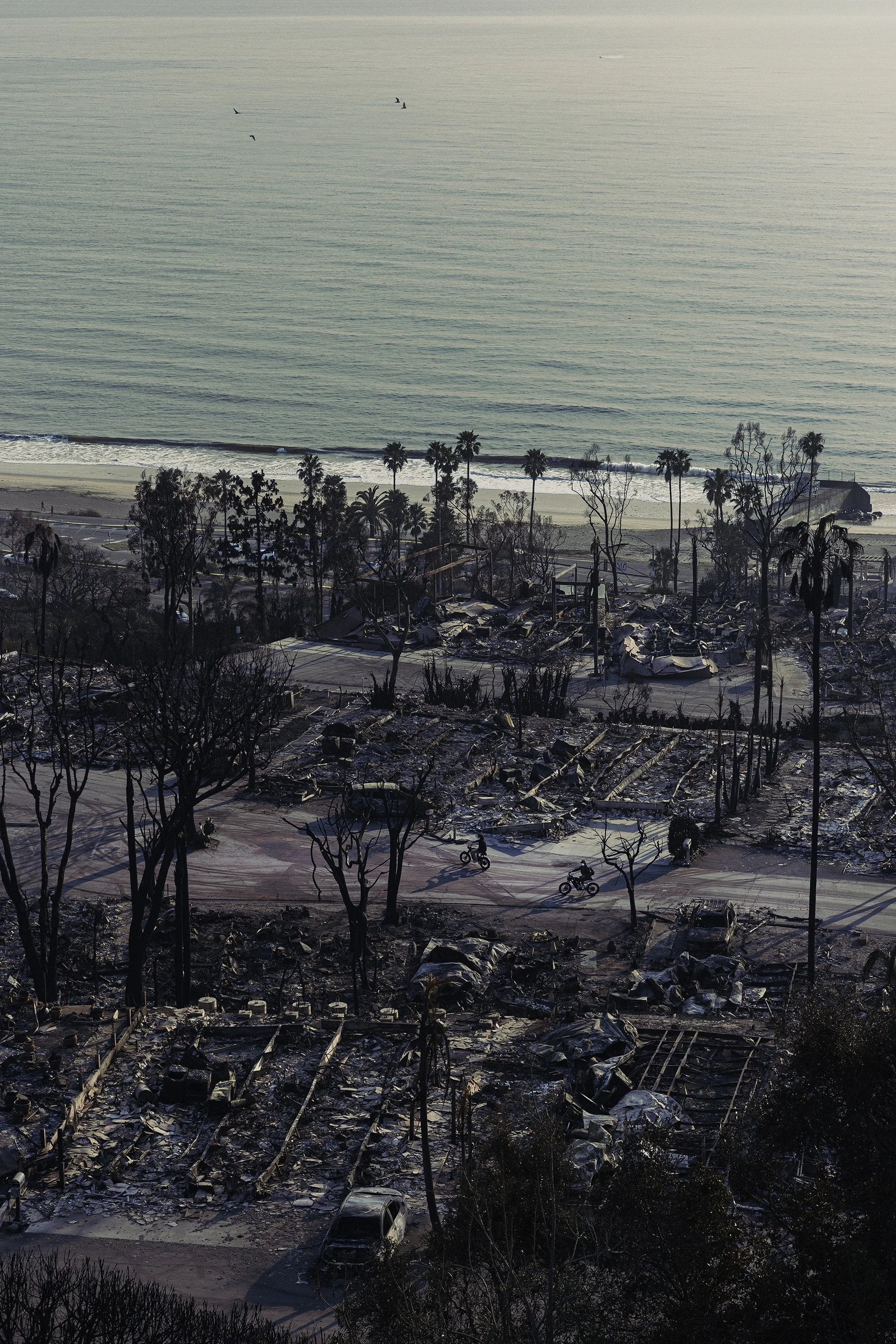 DF3A0411-Edit copy.jpg