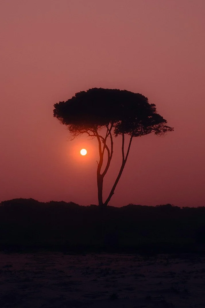 DSCF9322-Edit copy.jpg