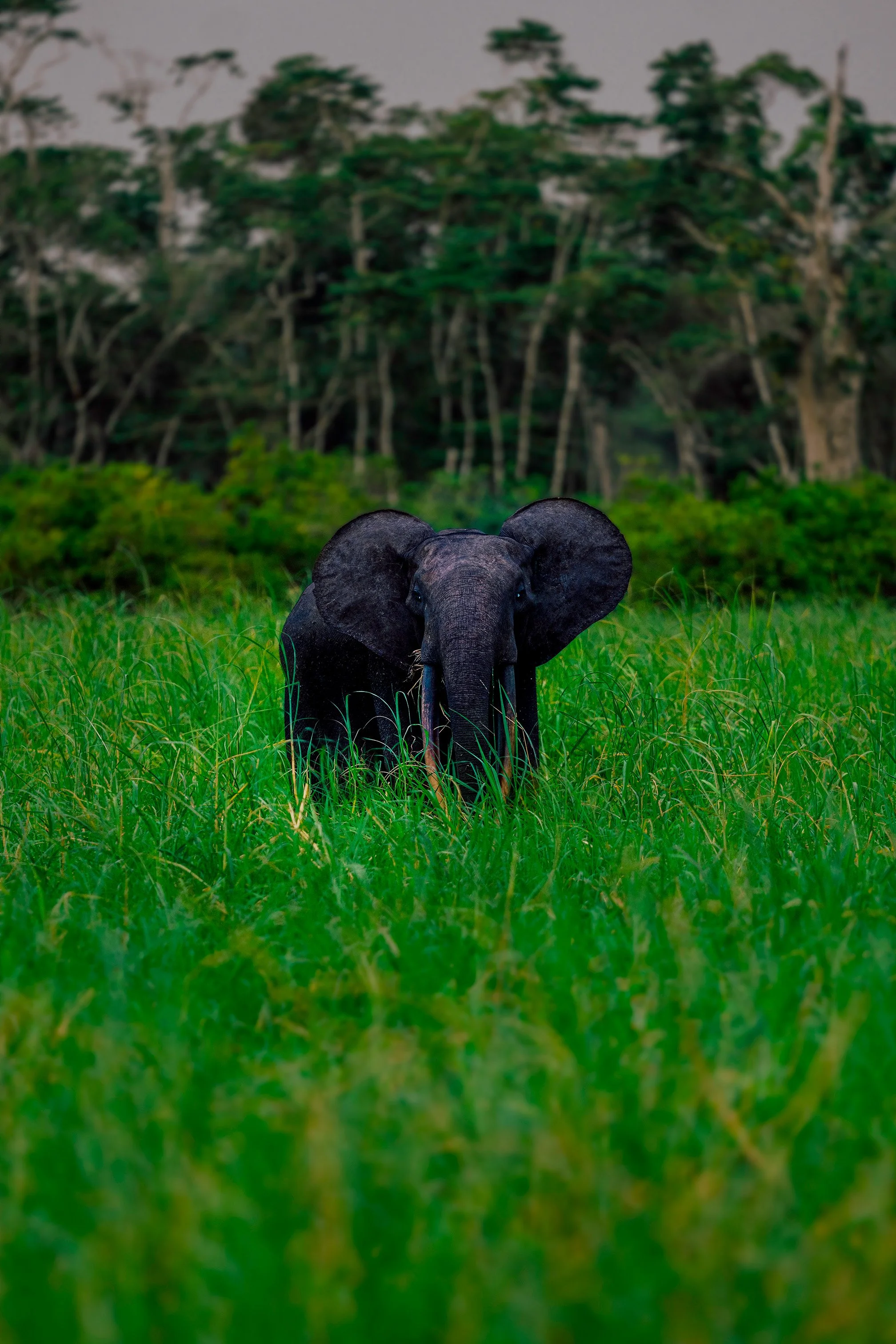 DSC03055-Edit copy.jpg