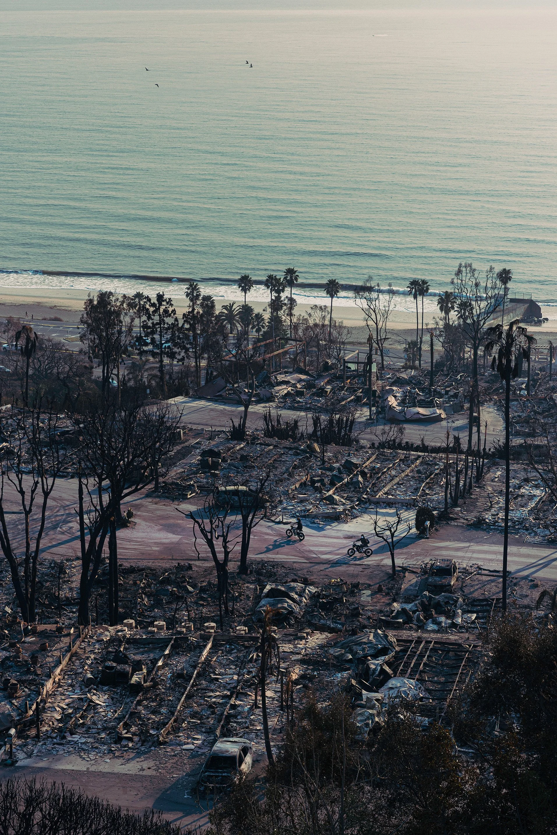 DF3A0411-Edit copy.jpg