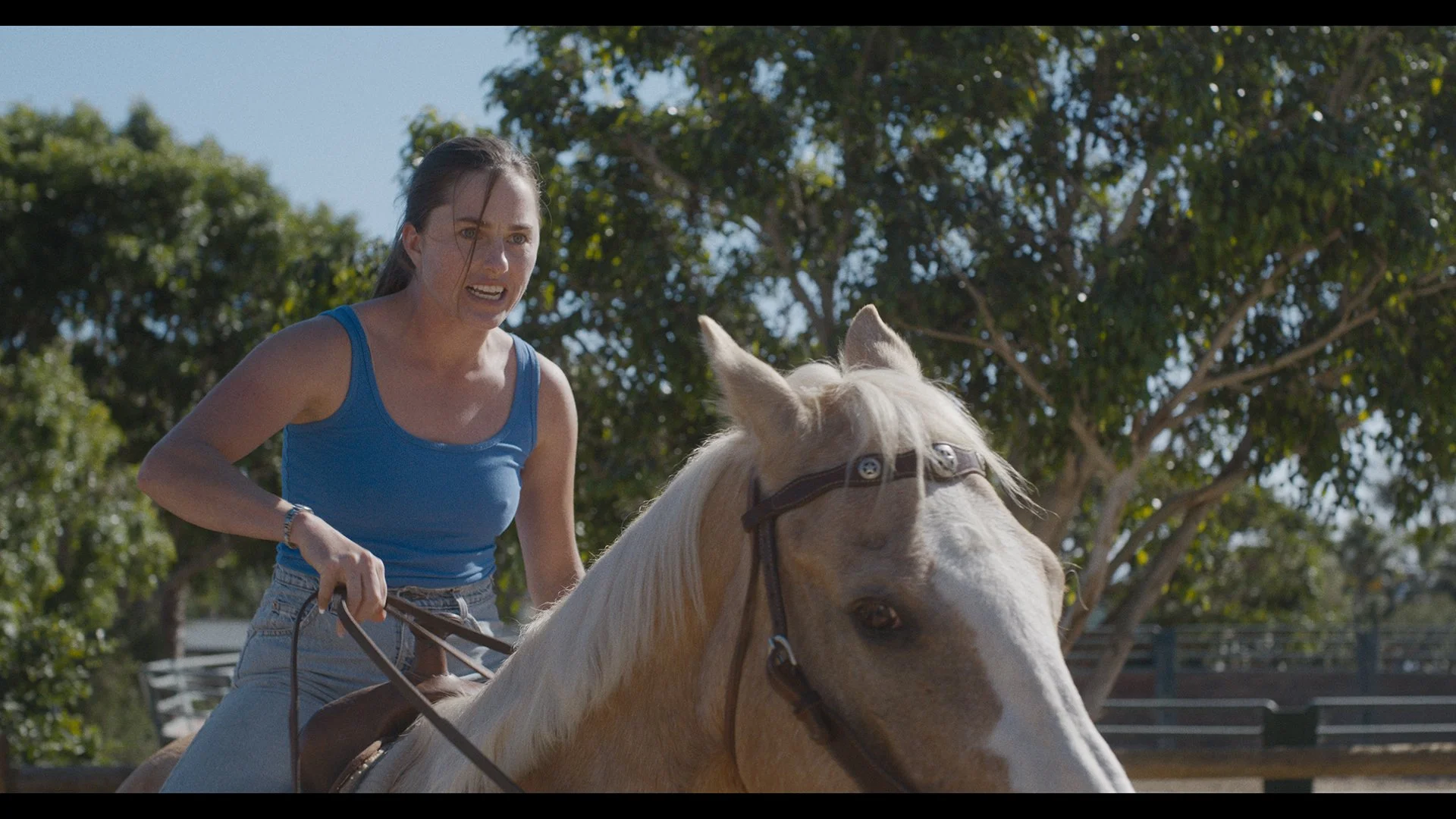 OTH STILLS.00_12_33_03.STILL010.JPG