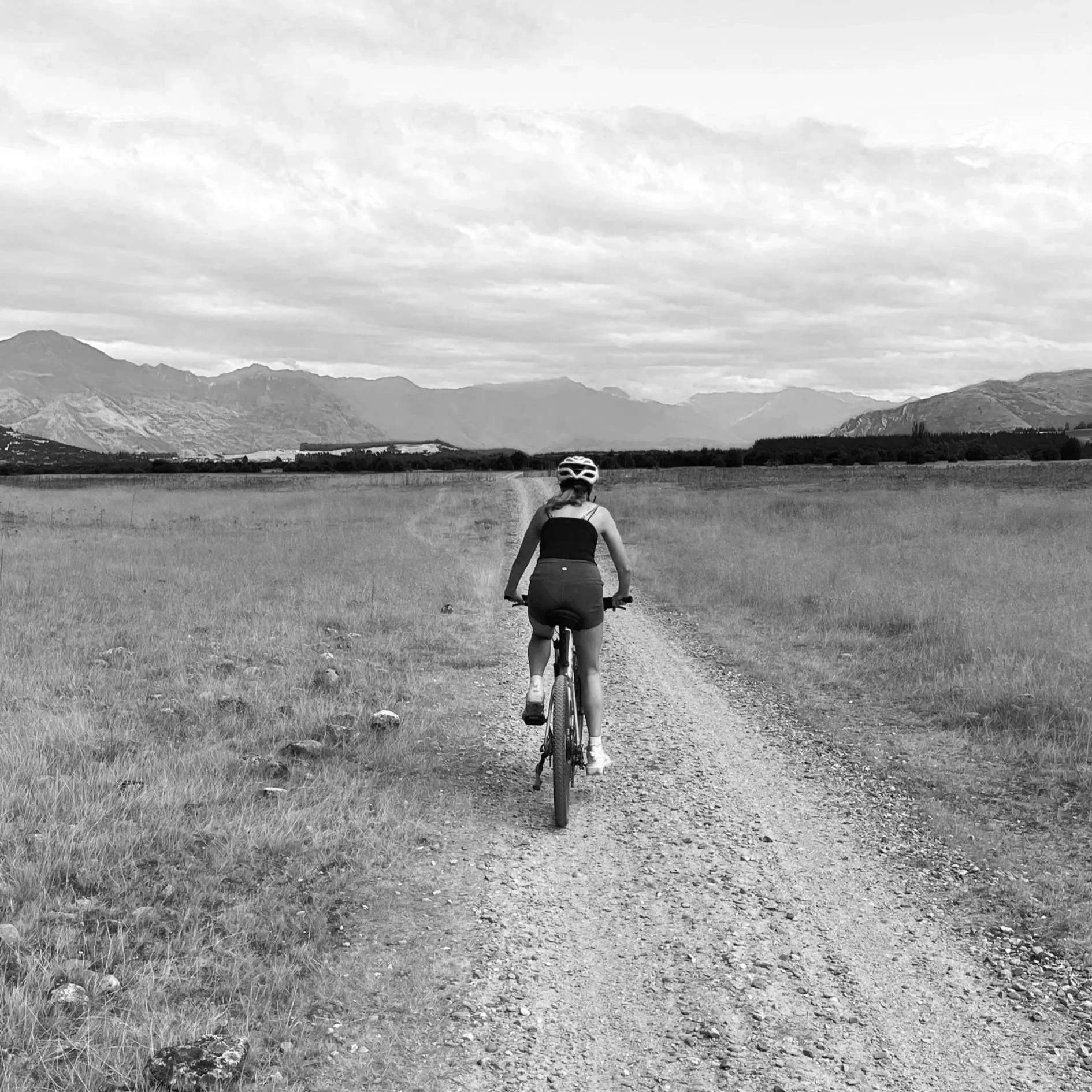 Marissa van Adrichem