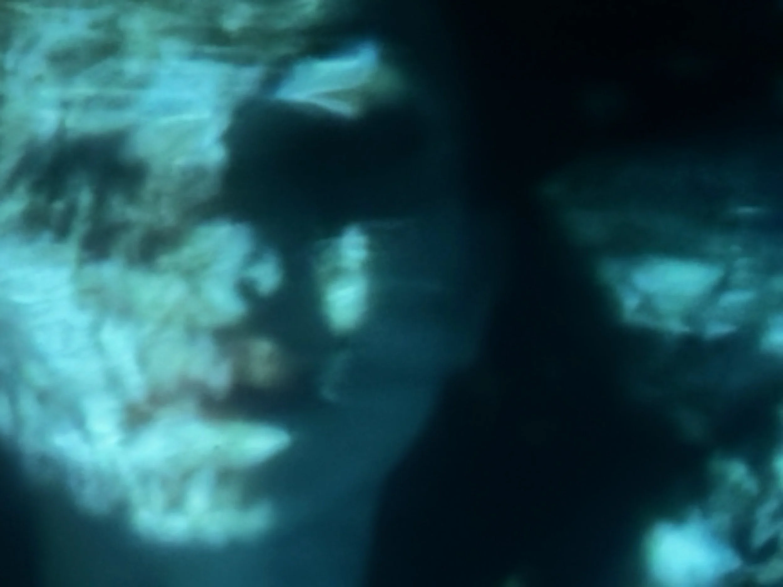 face projected onto water
