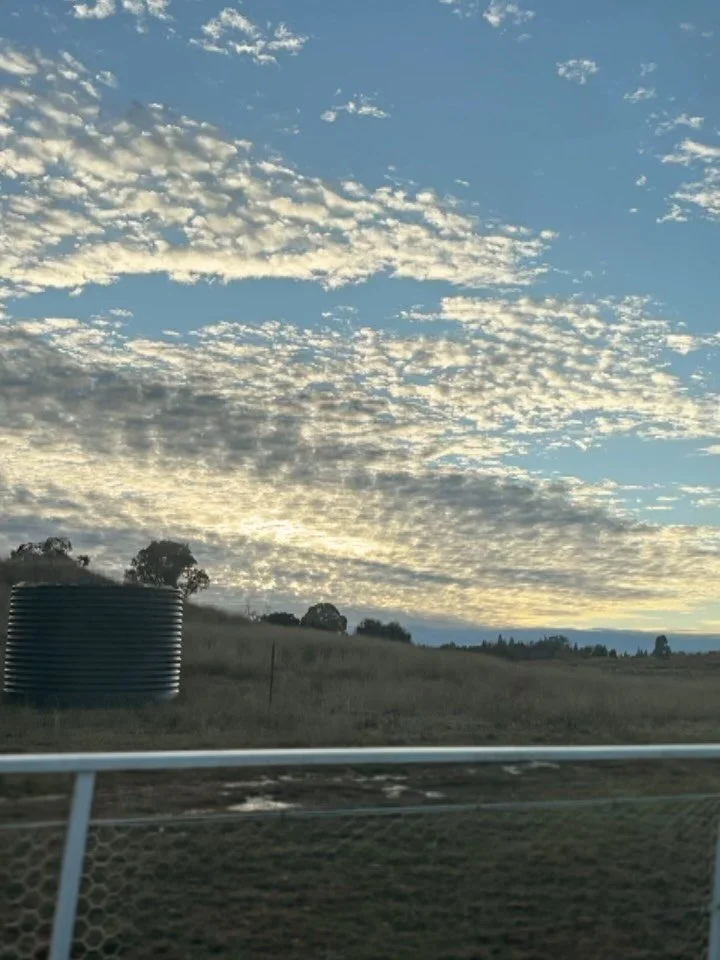 Country.

Last week, we hit the road again &mdash; Muswellbrook, Inverell, then Ashford.

We yarned with old friends, learned from Country, and soaked up the kind of sunrises and sunsets we&rsquo;d forgotten we needed.

Grateful for the time, the sto