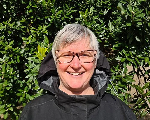 Kōtare-Social-Change-New-Zealand-Who-We-Are-Sue-Berman.jpg