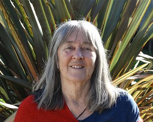 Kōtare-Social-Change-New-Zealand-Who-We-Are-Catherine-Delahunty.jpg