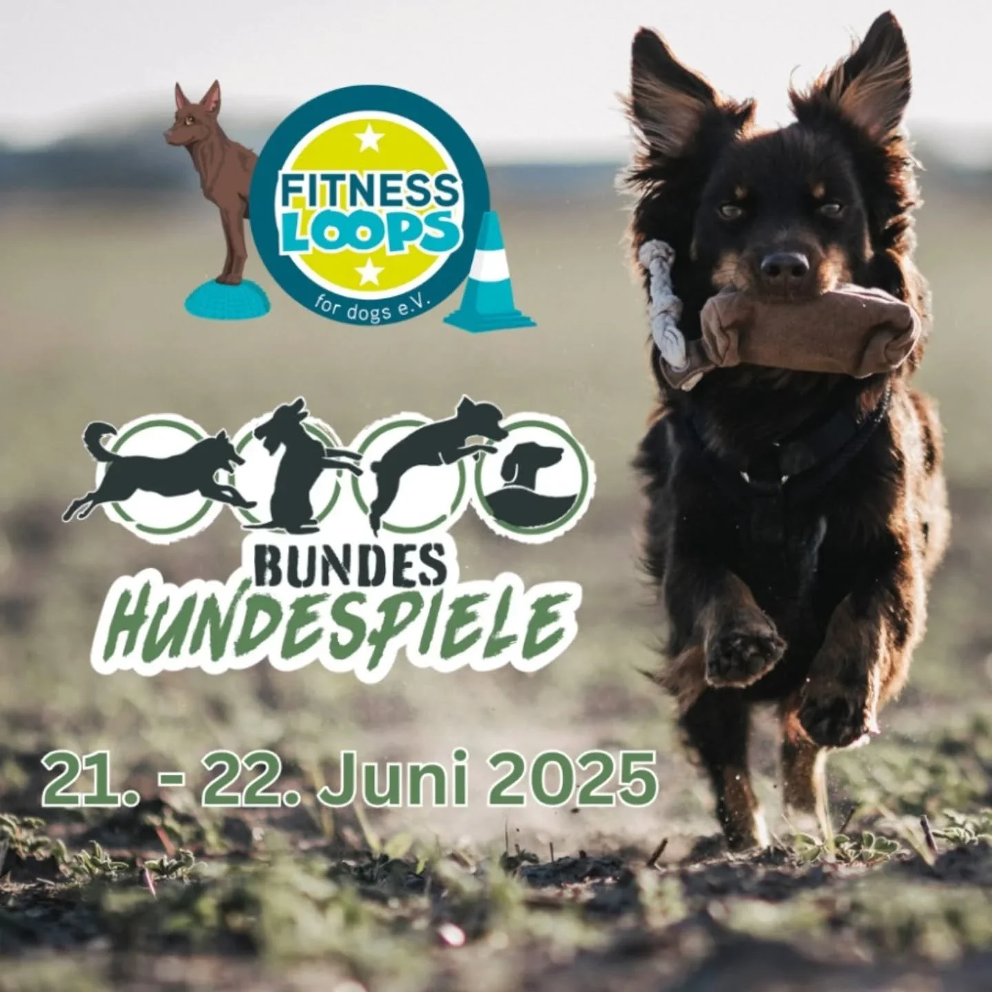 Wir sehen uns am 21. und 22. Juni 2025 bei den @bundeshundespiele n in Sassenburg!

Kommt an unserem Stand auf den Bundeshundespielen vorbei und probiert euch als Team an unseren Mitmach-Fitness-Loop aus. 
Ihr habt Fragen zu den Fitness-Loops? @capem