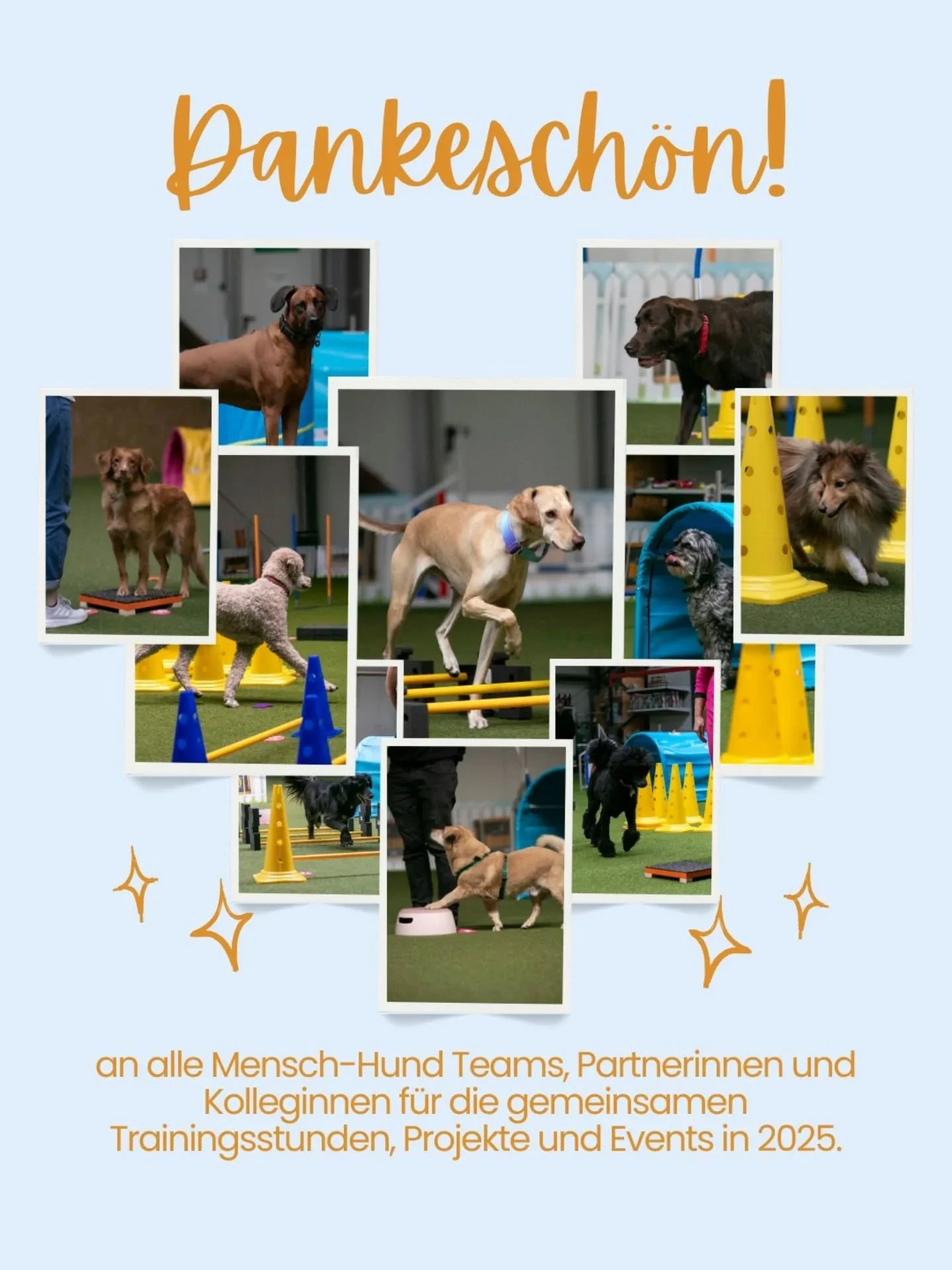 Vielen Dank f&uuml;r die vielen lustigen und lehrreichen Momente im Training, f&uuml;r euer Vertrauen, eure Unterst&uuml;tzung und eure Wertsch&auml;tzung! ❤️

Dieses Jahr war sehr ereignisreich f&uuml;r mich. 
Unter anderem gab es gro&szlig;e Events