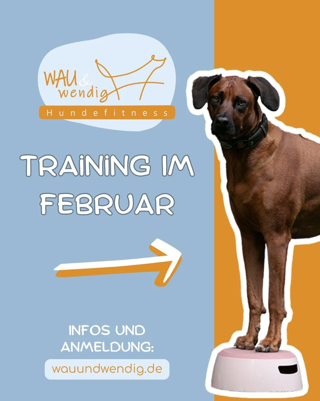 Freie Trainingspl&auml;tze im Februar ❄

Lust auf Hundefitness und Fitness-Loop Parcourstraining mit deinem Hund? Dann sichere dir einen Platz im Gruppentraining!✅

Bei den genannten Angeboten handelt es sich um Trainingsstunden in kleinen gruppen vo