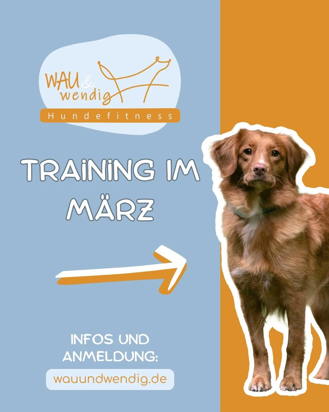 Freie Trainingspl&auml;tze im M&auml;rz ☀

Lust auf Hundefitness und Fitness-Loop Parcourstraining mit deinem Hund? Dann sichere dir einen Platz im Gruppentraining!✅

Bei den genannten Angeboten handelt es sich um Trainingsstunden in kleinen gruppen 
