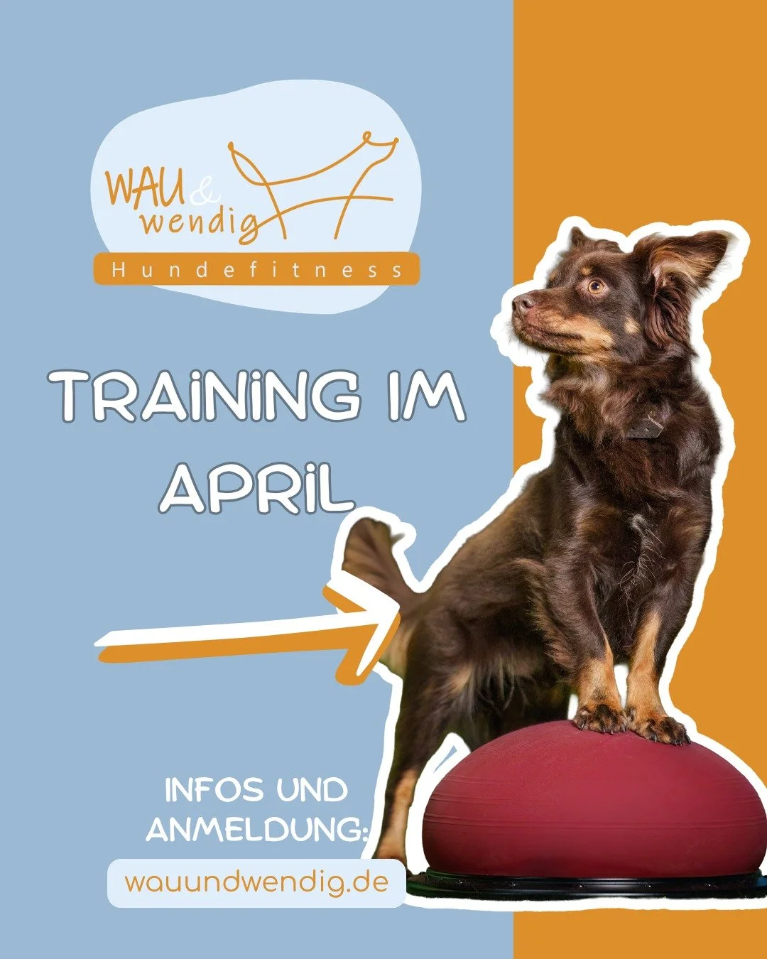 Freie Trainingspl&auml;tze im April ☀

Lust auf Hundefitness und Fitness-Loop Parcourstraining mit deinem Hund? Dann sichere dir einen Platz im Gruppentraining!✅

Bei den genannten Angeboten handelt es sich um Trainingsstunden in kleinen gruppen von 