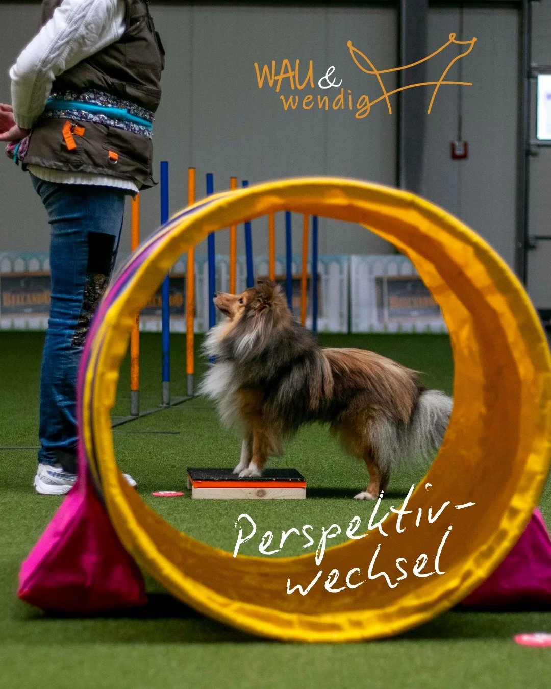 Wenn wir lernen, den Fitness-Loop auch aus der Perspektive unseres Hundes zu sehen, dann wird sich unser Zusammenspiel im Parcours viel harmonischer und leichter anf&uuml;hlen. 

Fehler f&uuml;hren dann nicht mehr zu Frust, sondern sind wichtiges Fee