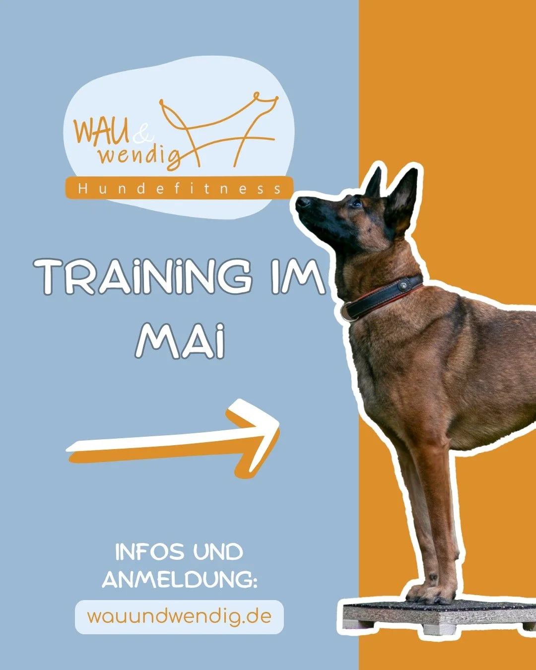 Freie Trainingspl&auml;tze im Mai ☀

Lust auf Hundefitness und Fitness-Loop Parcourstraining mit deinem Hund? Dann sichere dir einen Platz im Gruppentraining!✅

Bei den genannten Angeboten handelt es sich um Trainingsstunden in kleinen Gruppen von ma