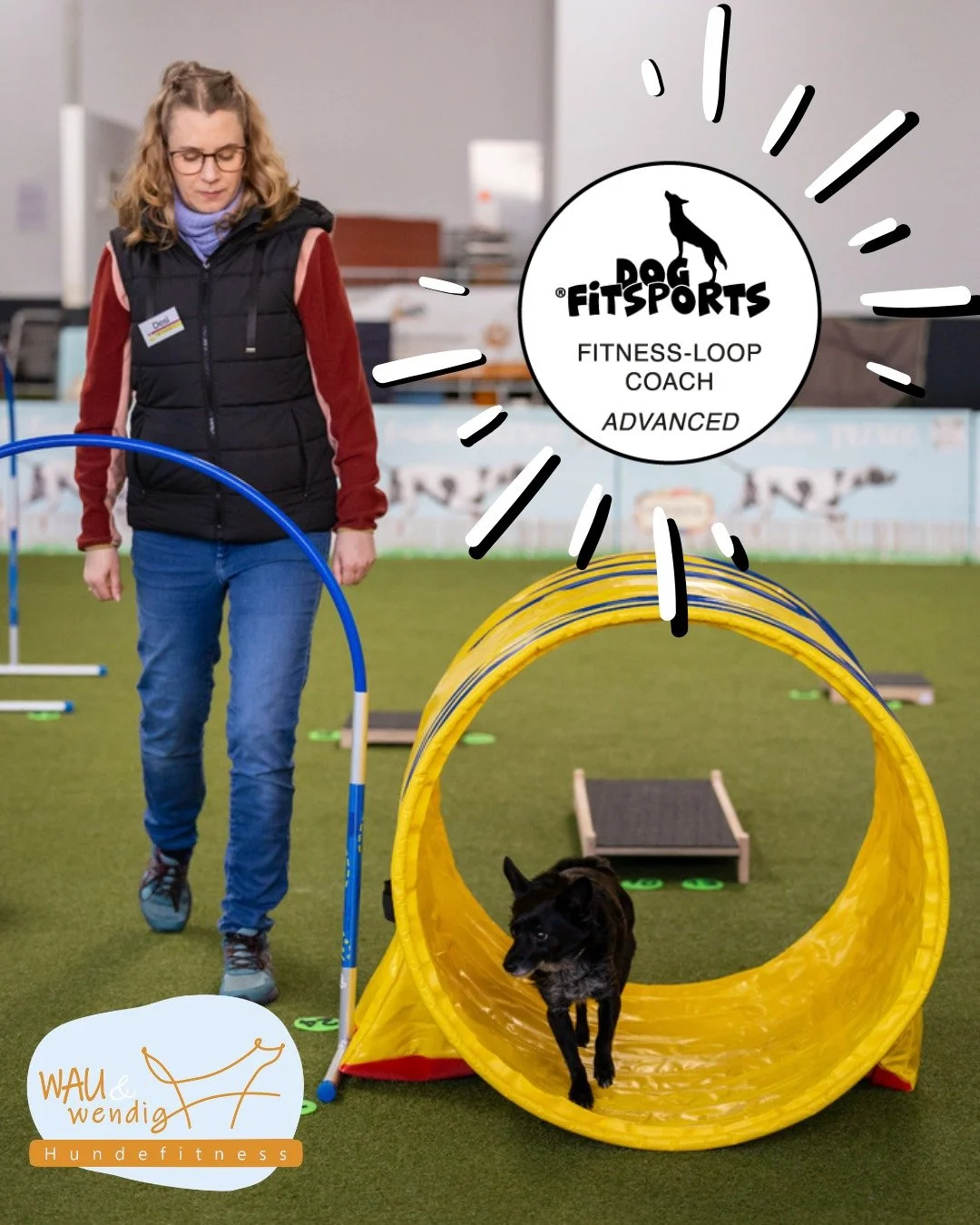 In den letzten 12 Monaten habe ich, im Laufe einer Fortbildung, an meinen eigenen Parcours Skills gearbeitet und mir detailliert von Fitness-Loop Erfinderin Sandra Rutz @dogfitsports und Nadia Richter @pidatz_hundefitness beim Coaching auf die Finger