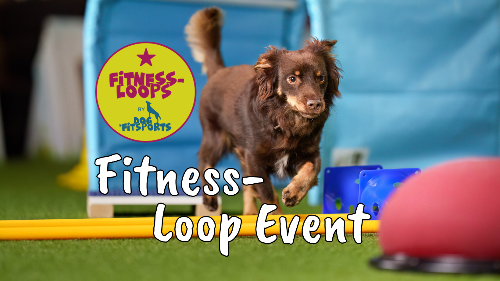 Fitness-Loop Event in Lünen