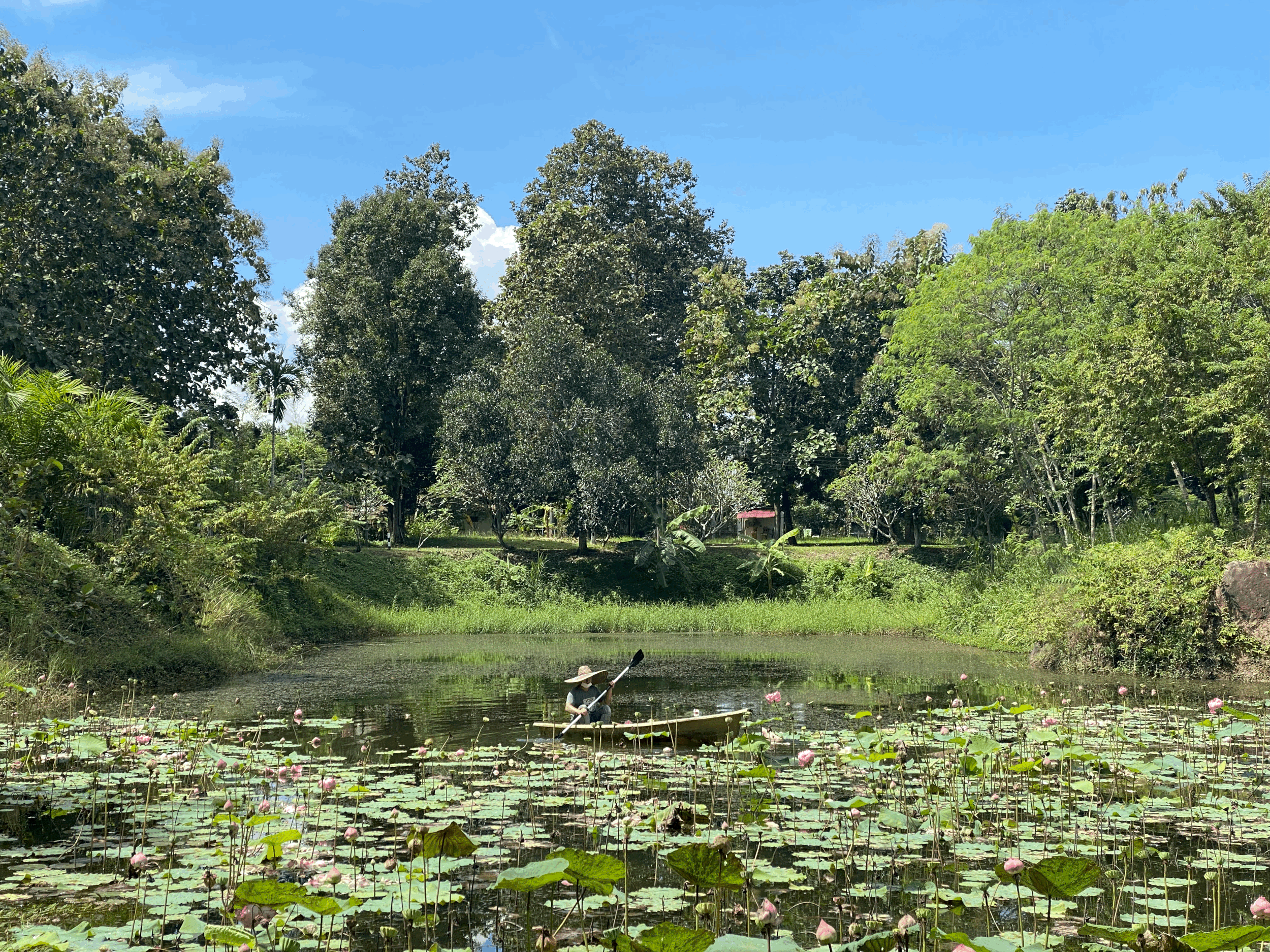 Happiness Retreat