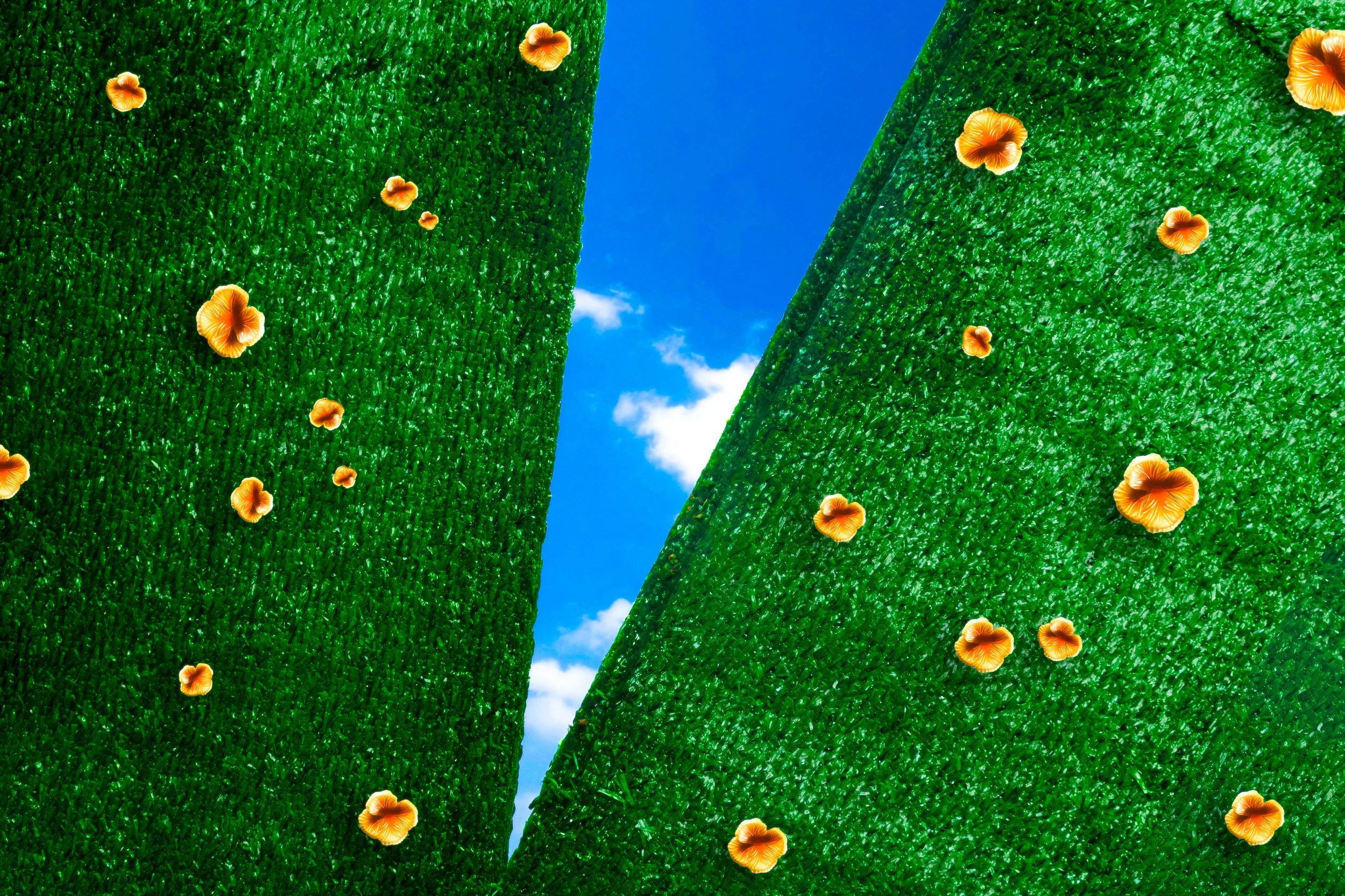 The Gardener Story V