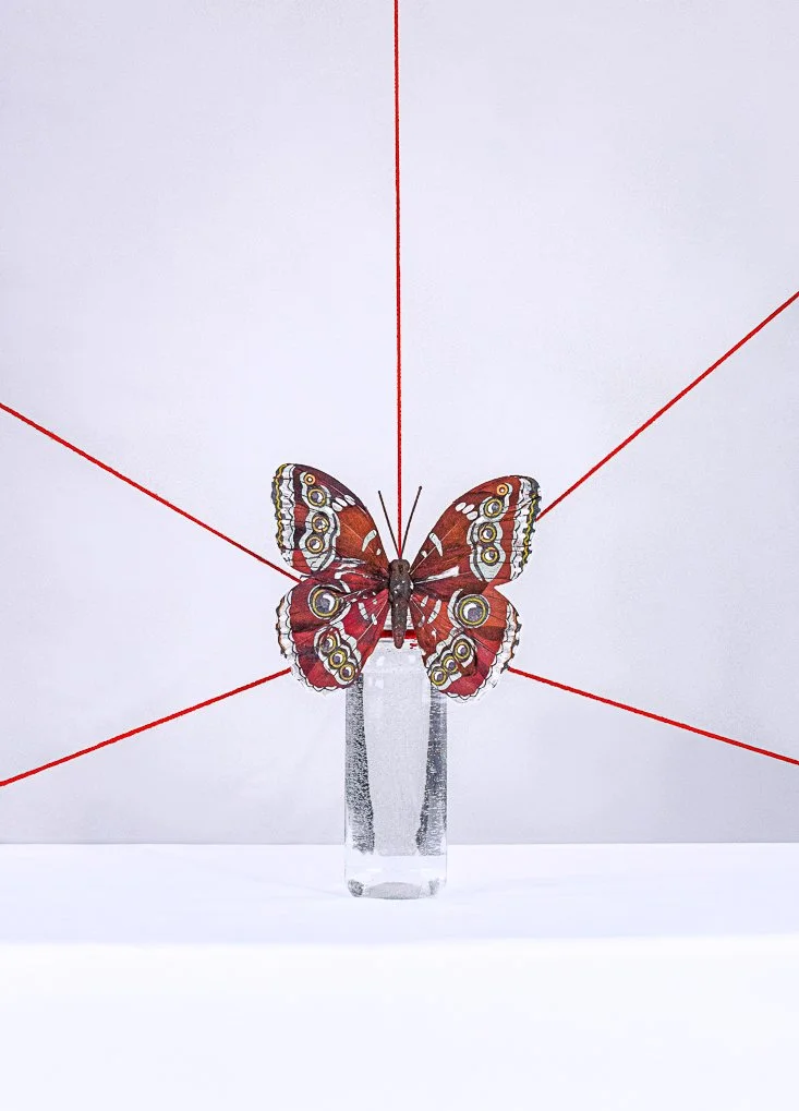 Fragments of Life III