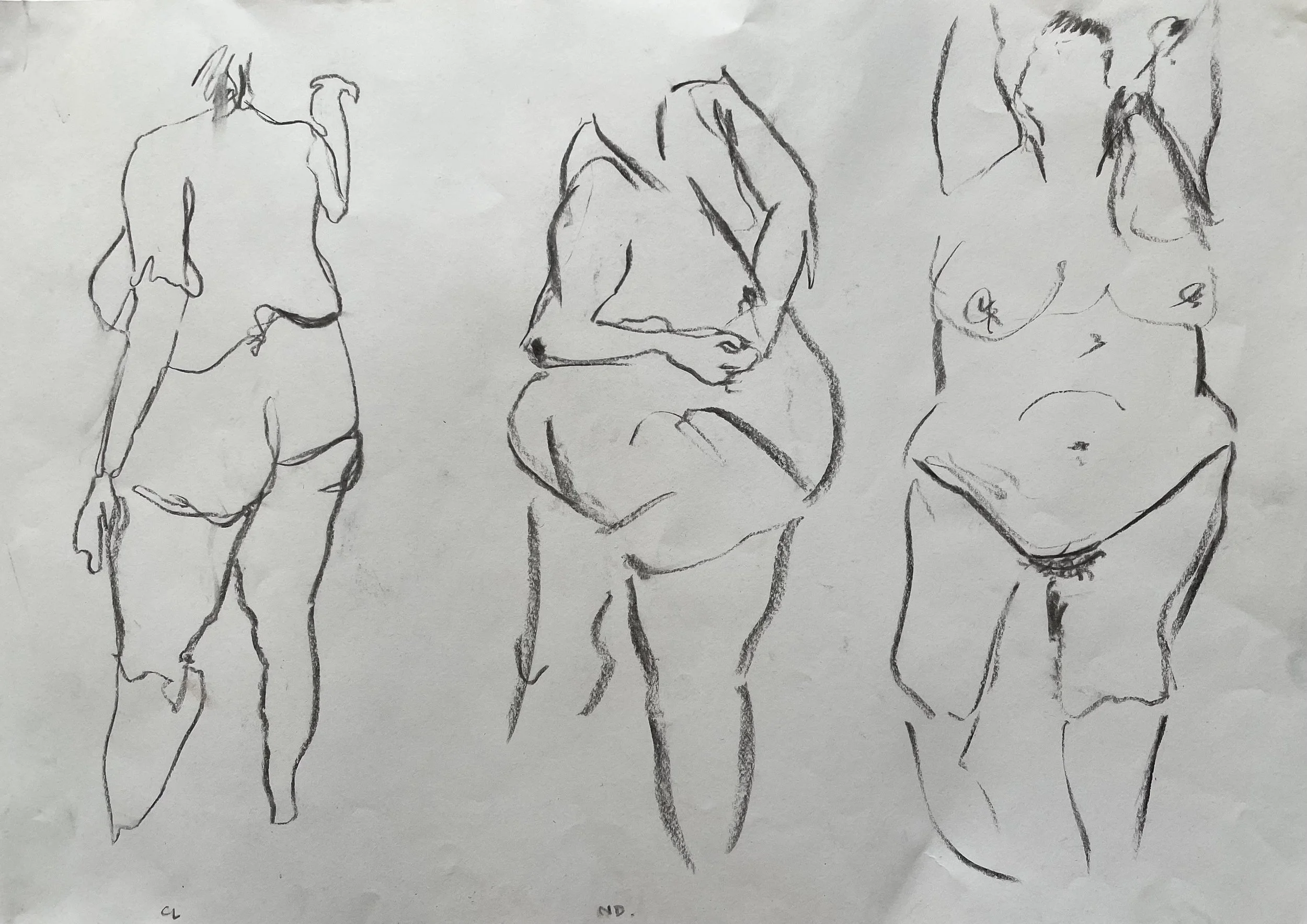 Ladies.jpeg