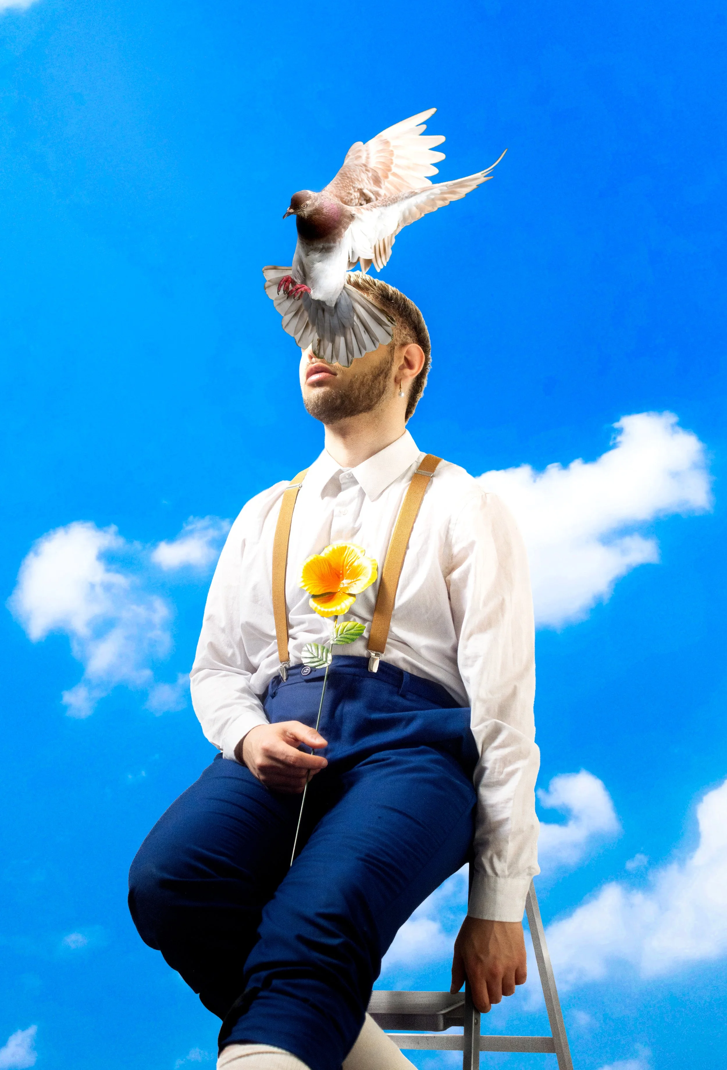 The Gardener Story III