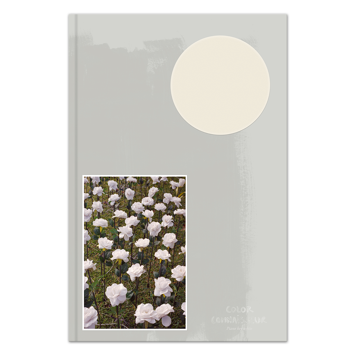 CC ebog Piano key white cover.png