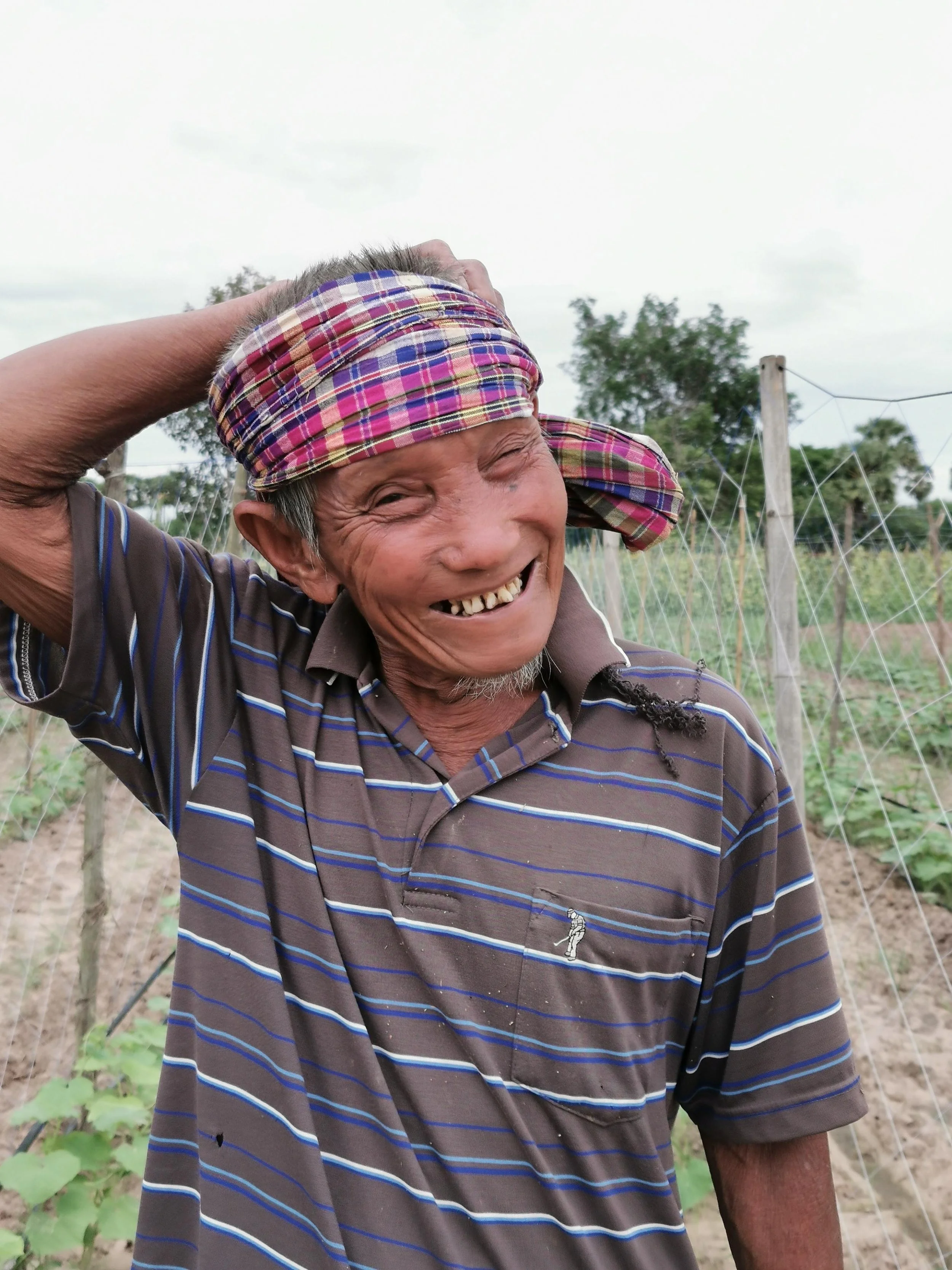 You are enjoying the rice from… 