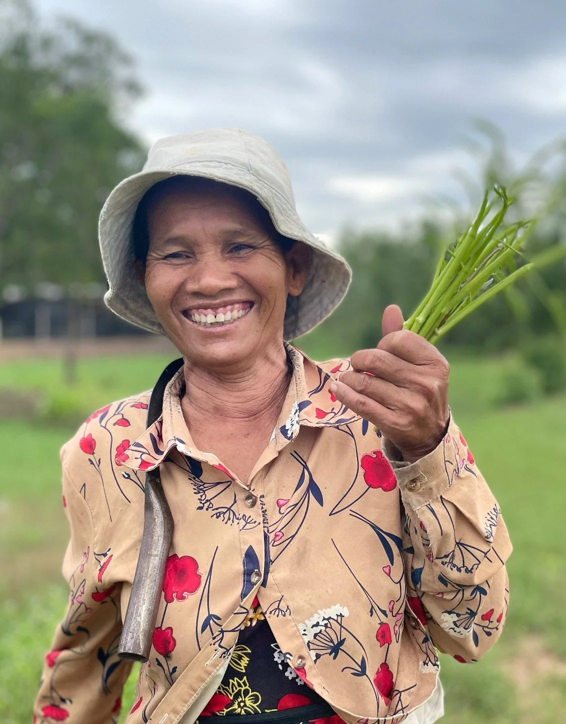 You are enjoying the rice from…