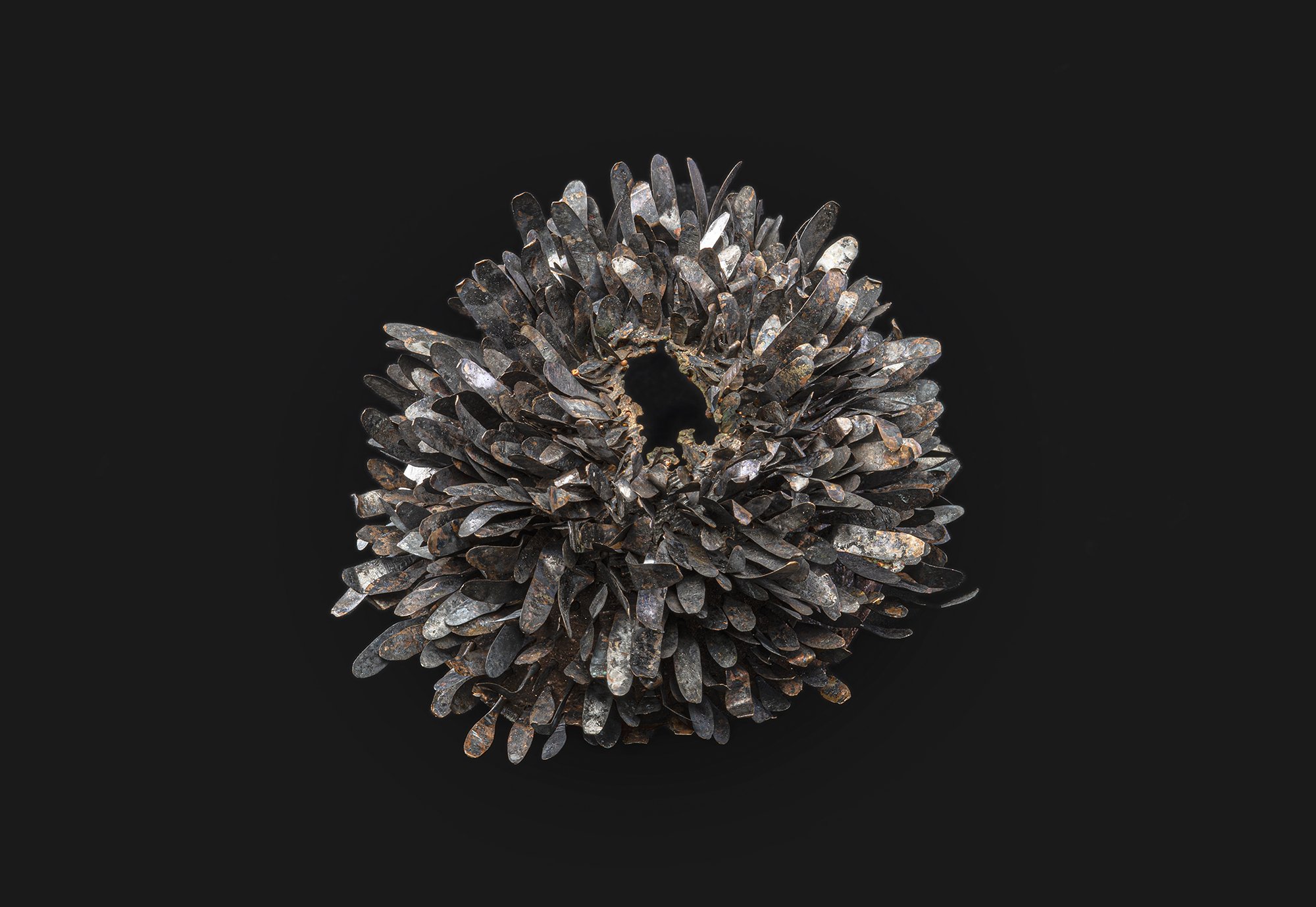 Prati_Alessia_Urchin(brooch) photo Federico Cavivvholi.jpg