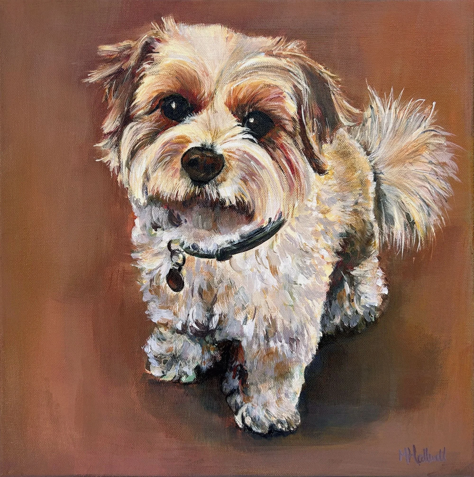 Maddy_Doggy_resized.jpg